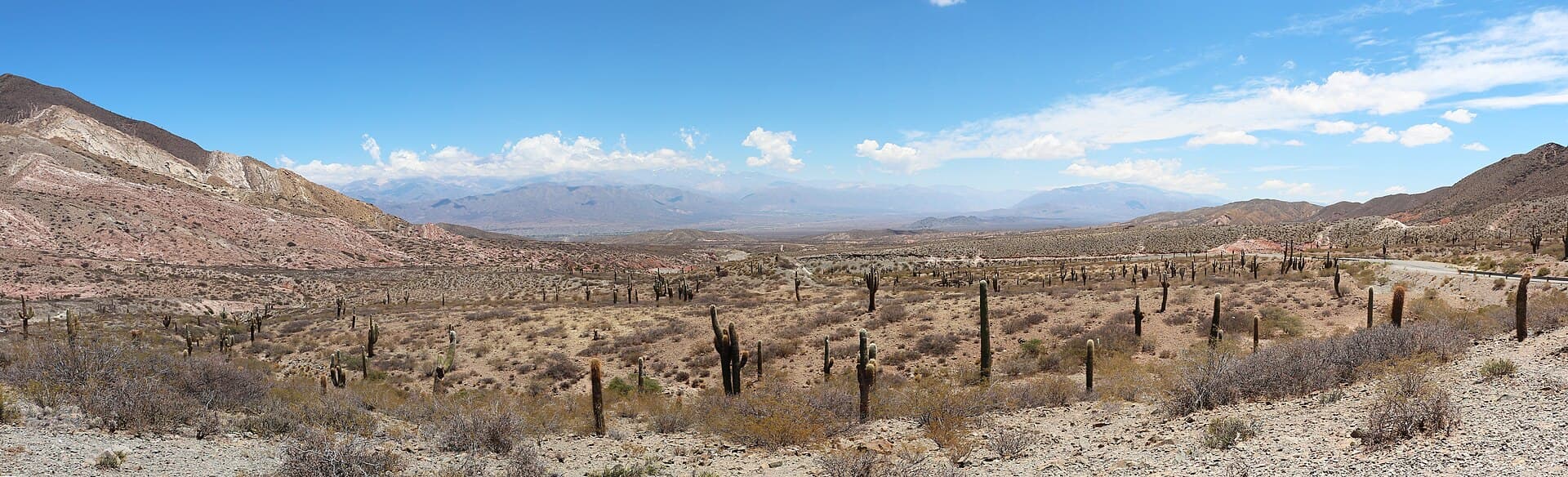 Los Cardones National Park, Cachi