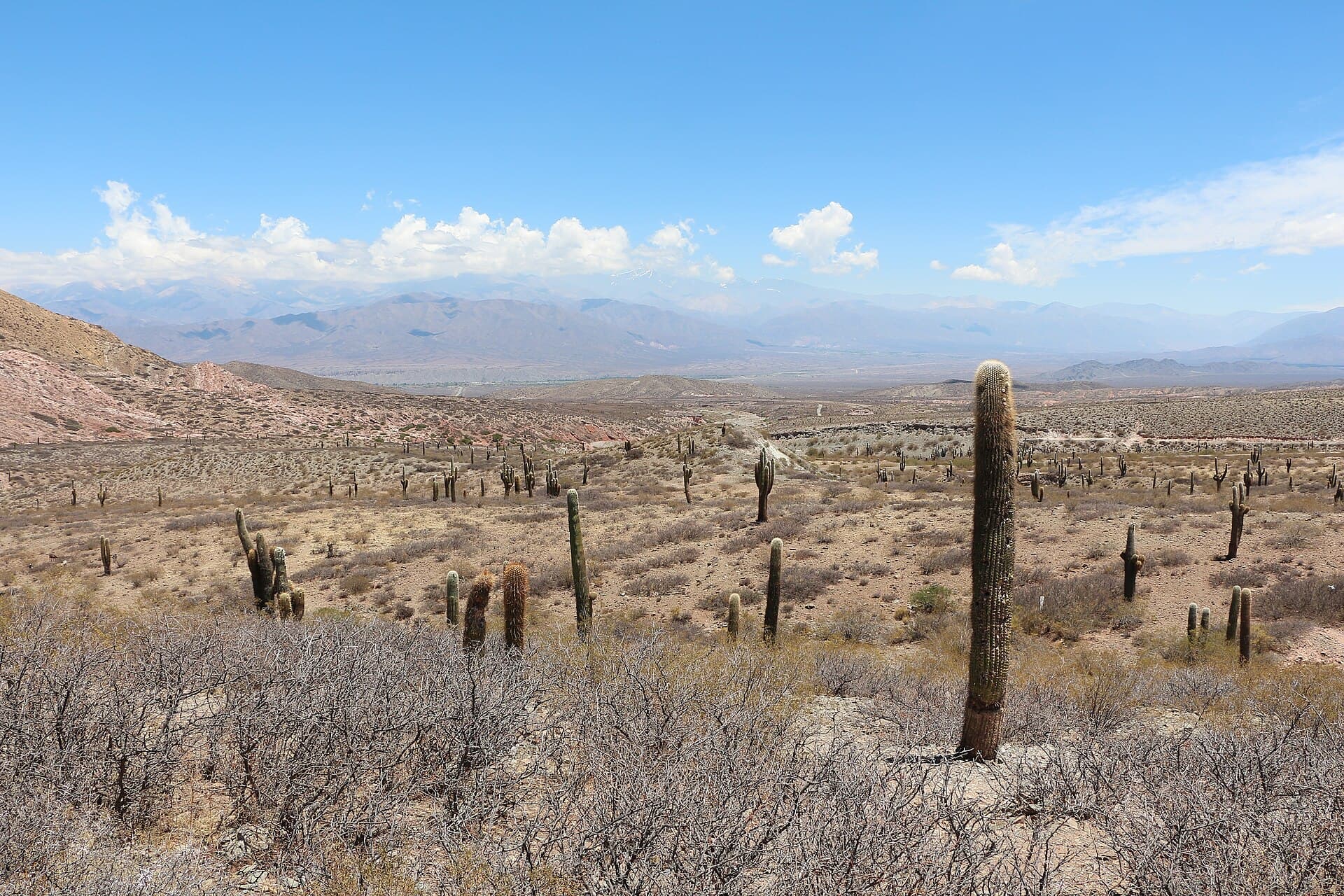 Los Cardones National Park, Cachi