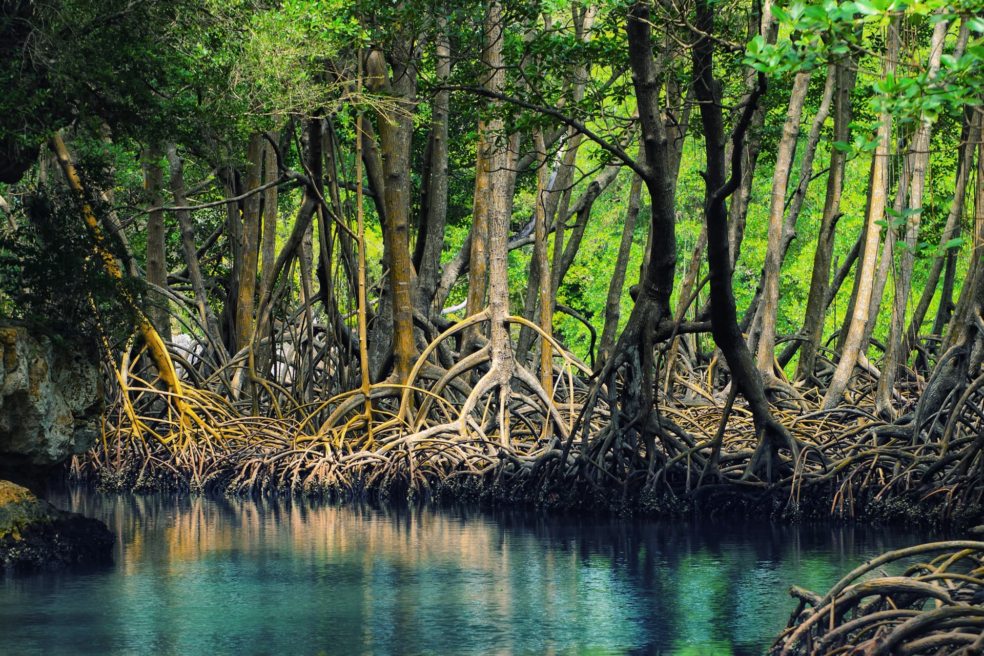 Los Haitises National Park