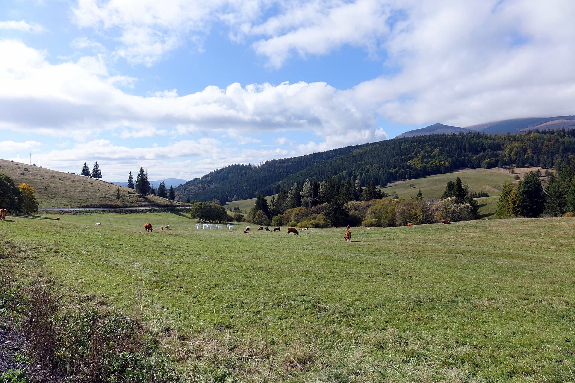 Low Tatras National Park, Poprad