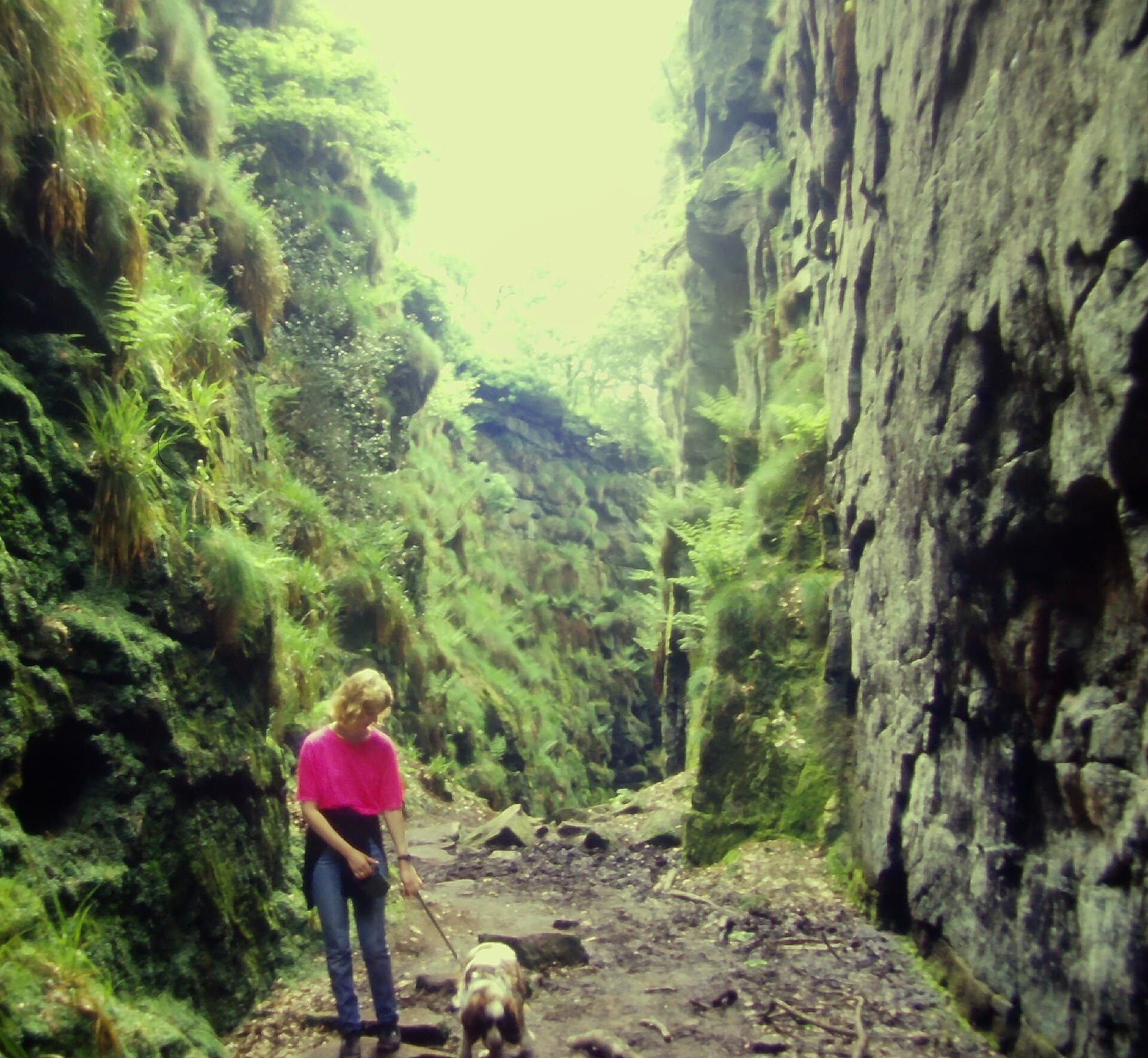 Lud's Church, Peak District