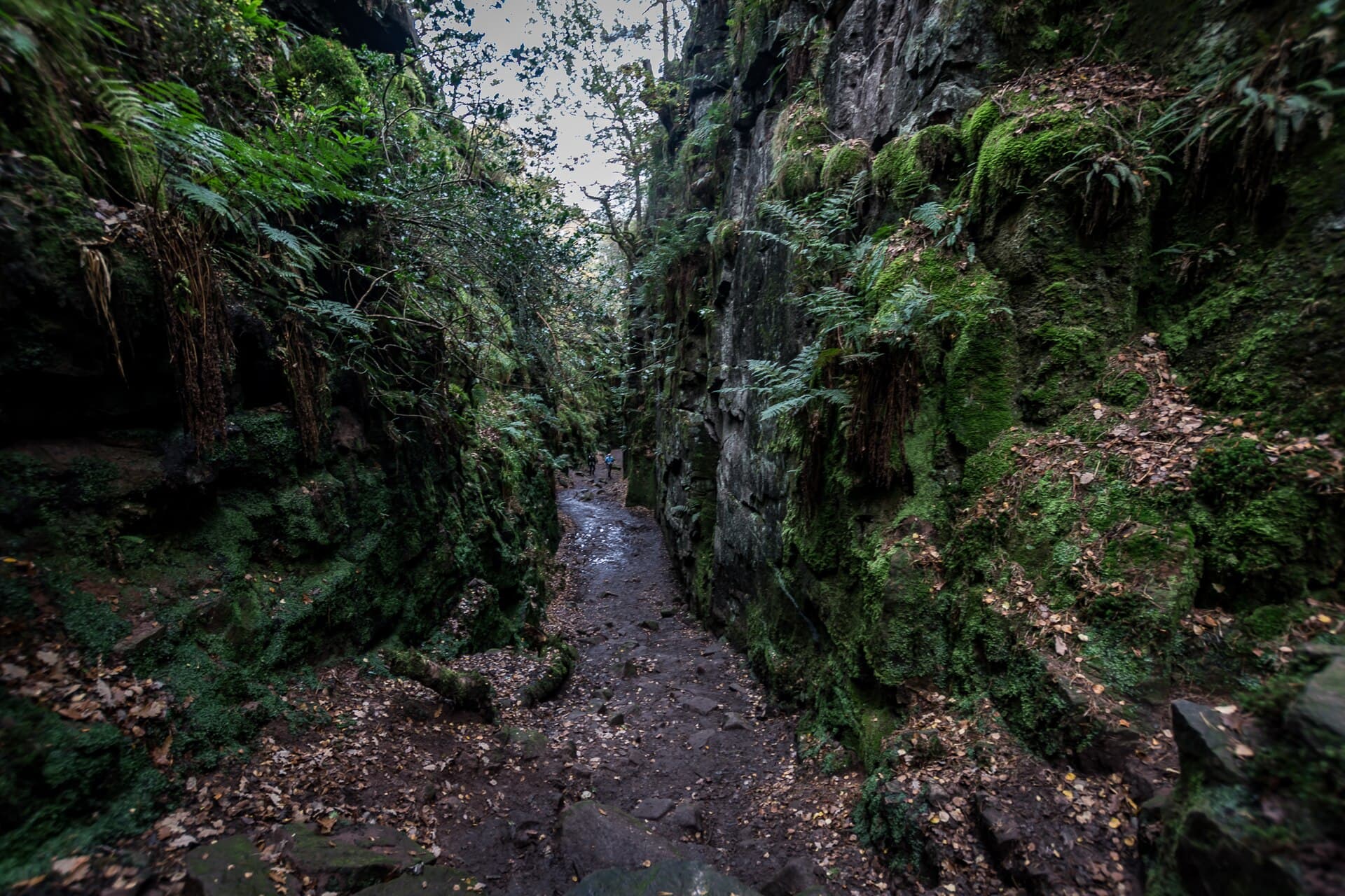 Lud's Church, Peak District