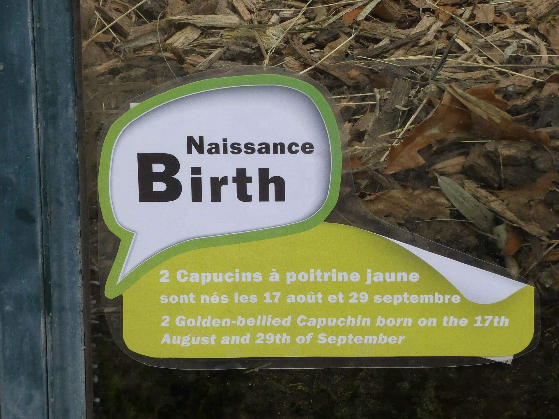 Lyon Zoo, Lyon