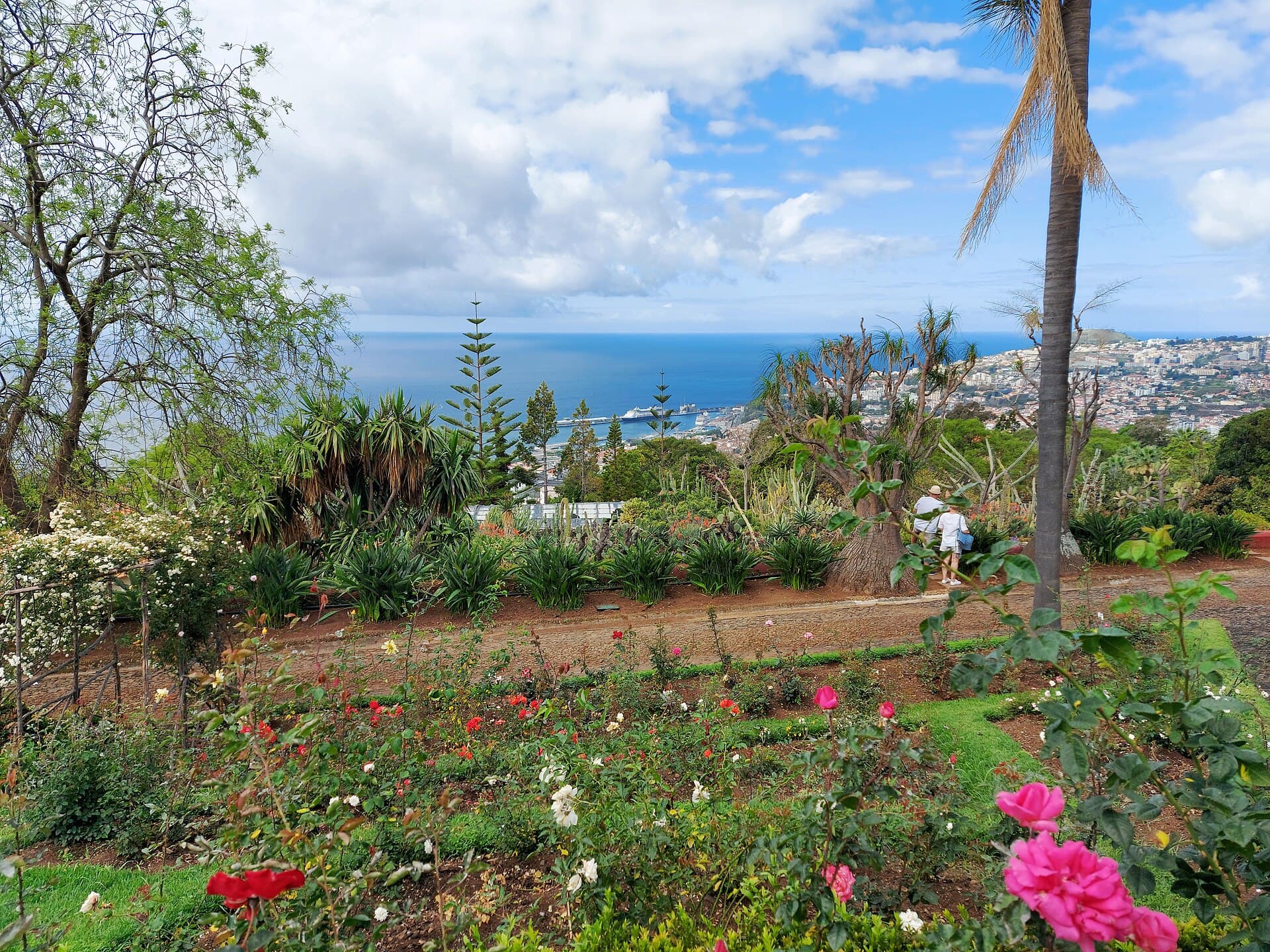 The Madeira Botanical Garden, Funchal