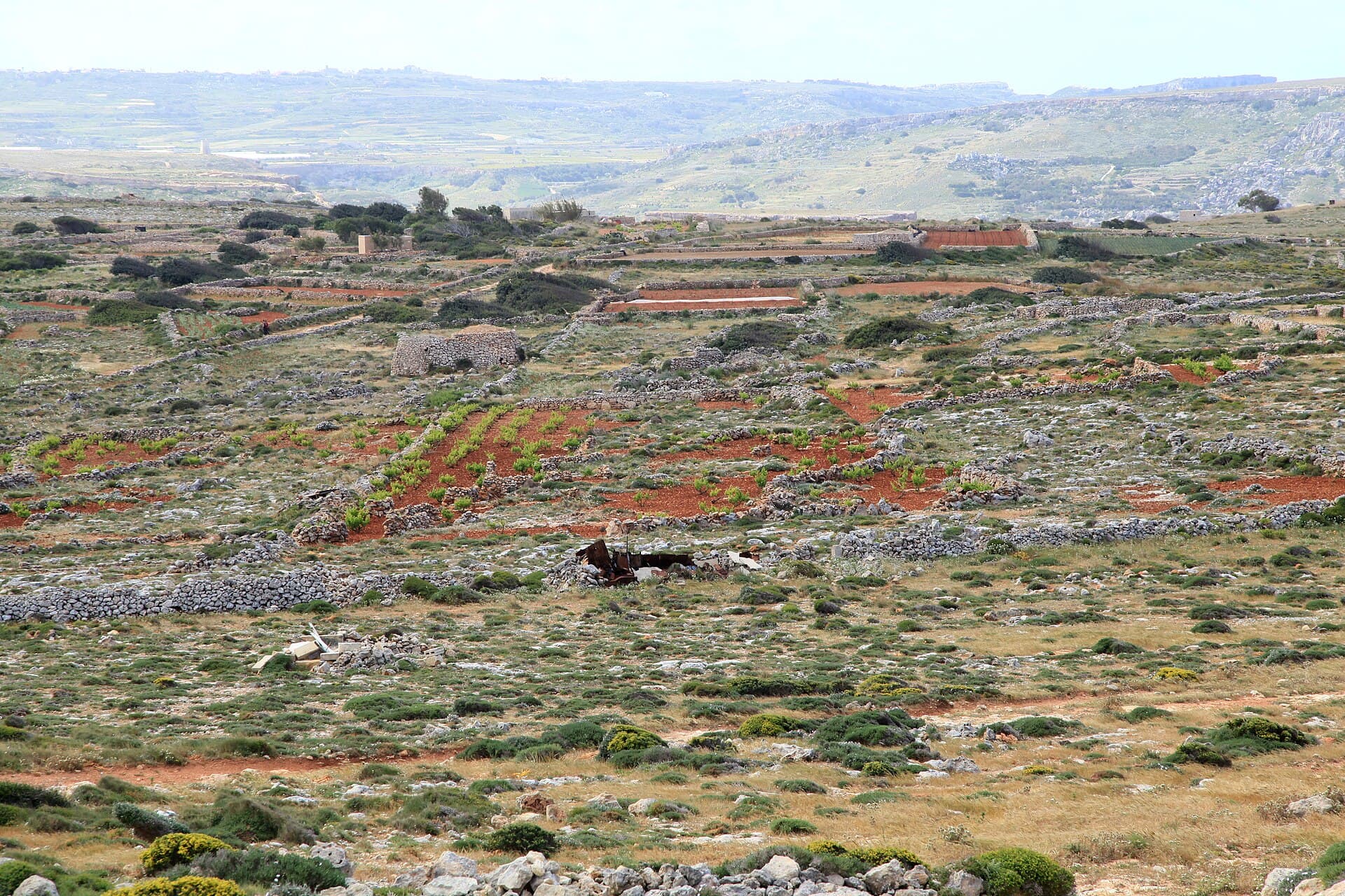 Majjistral Nature and History Park, North-west coast