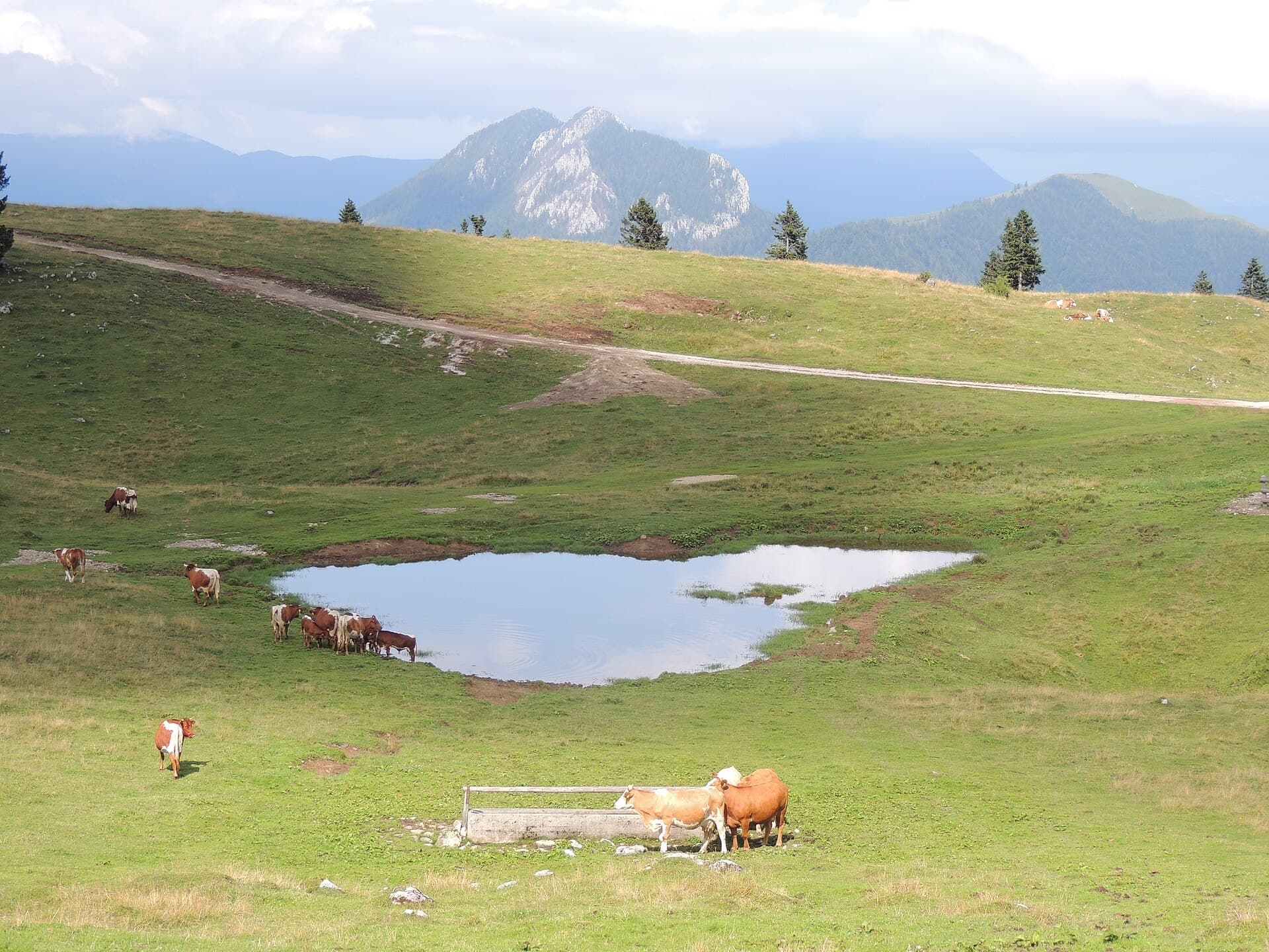 Mala Planina, Kamnik