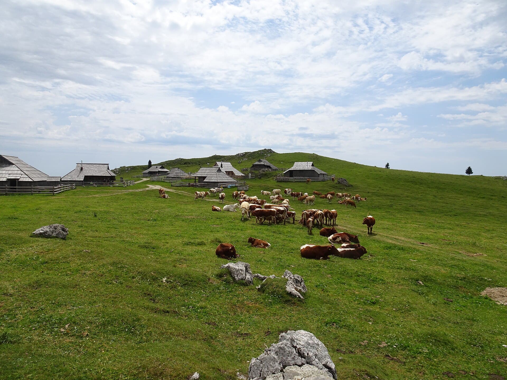 Mala Planina, Kamnik