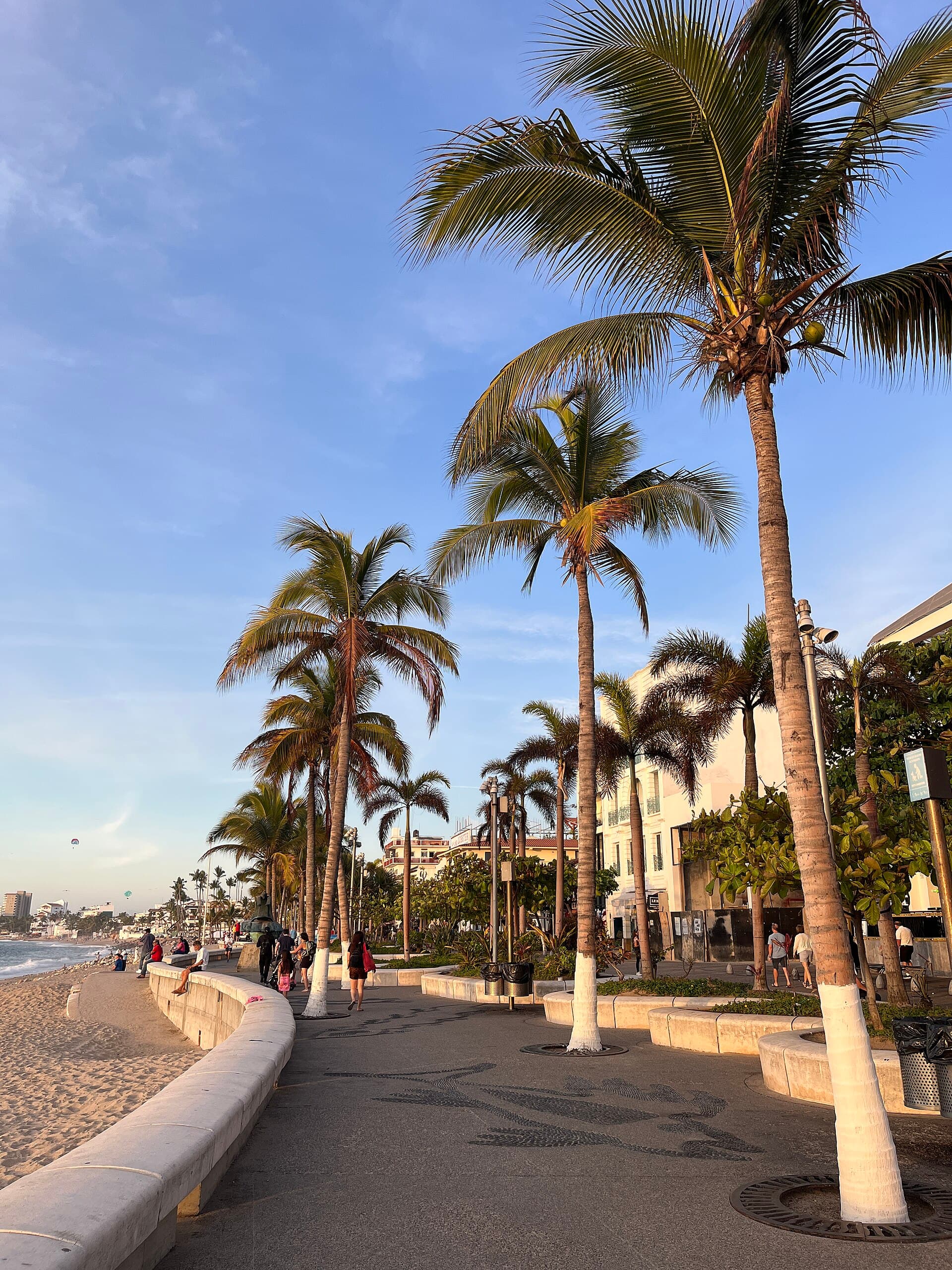 Puerto Vallarta Malecón
