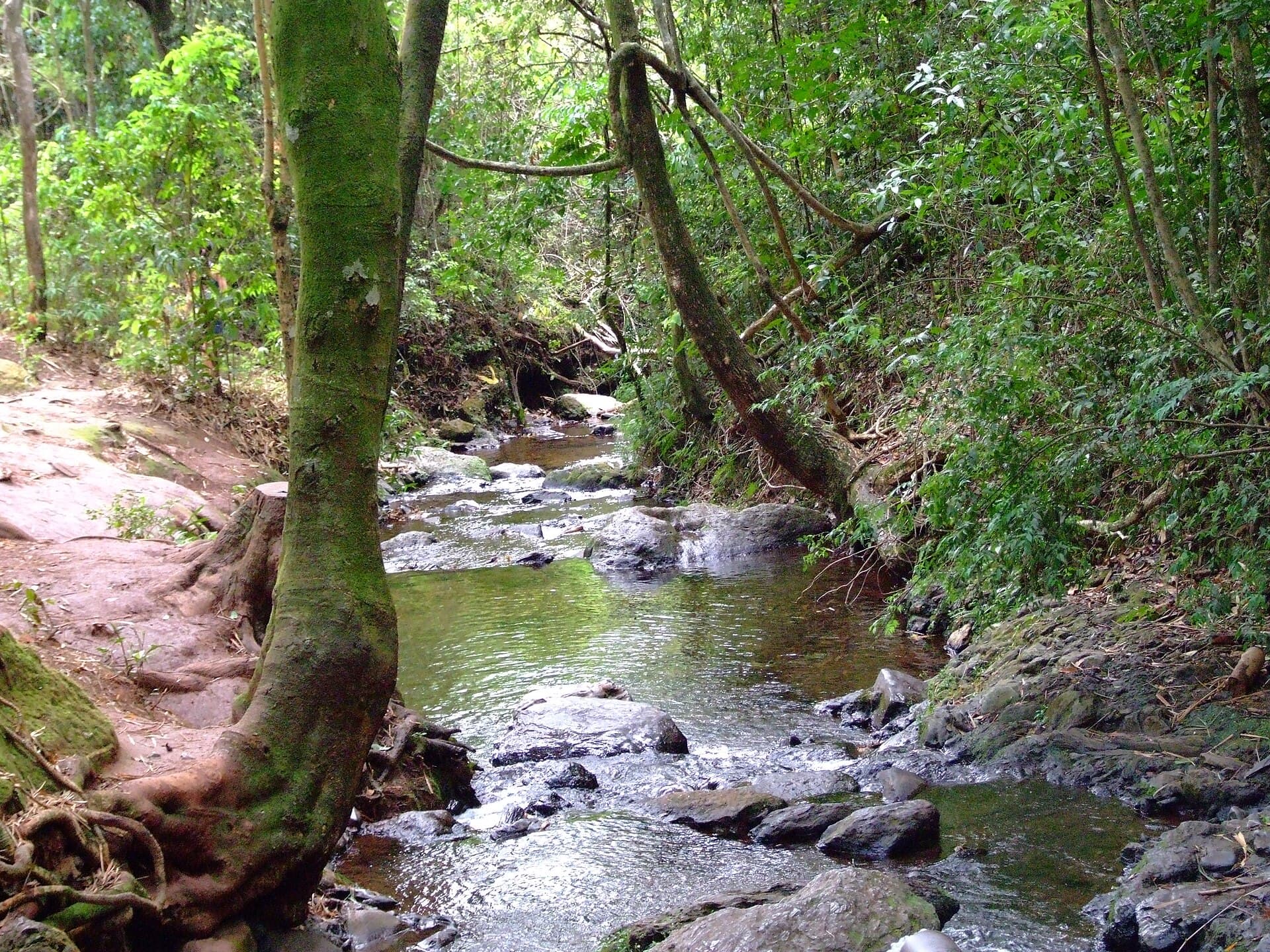Mangabeiras Park, Belo Horizonte