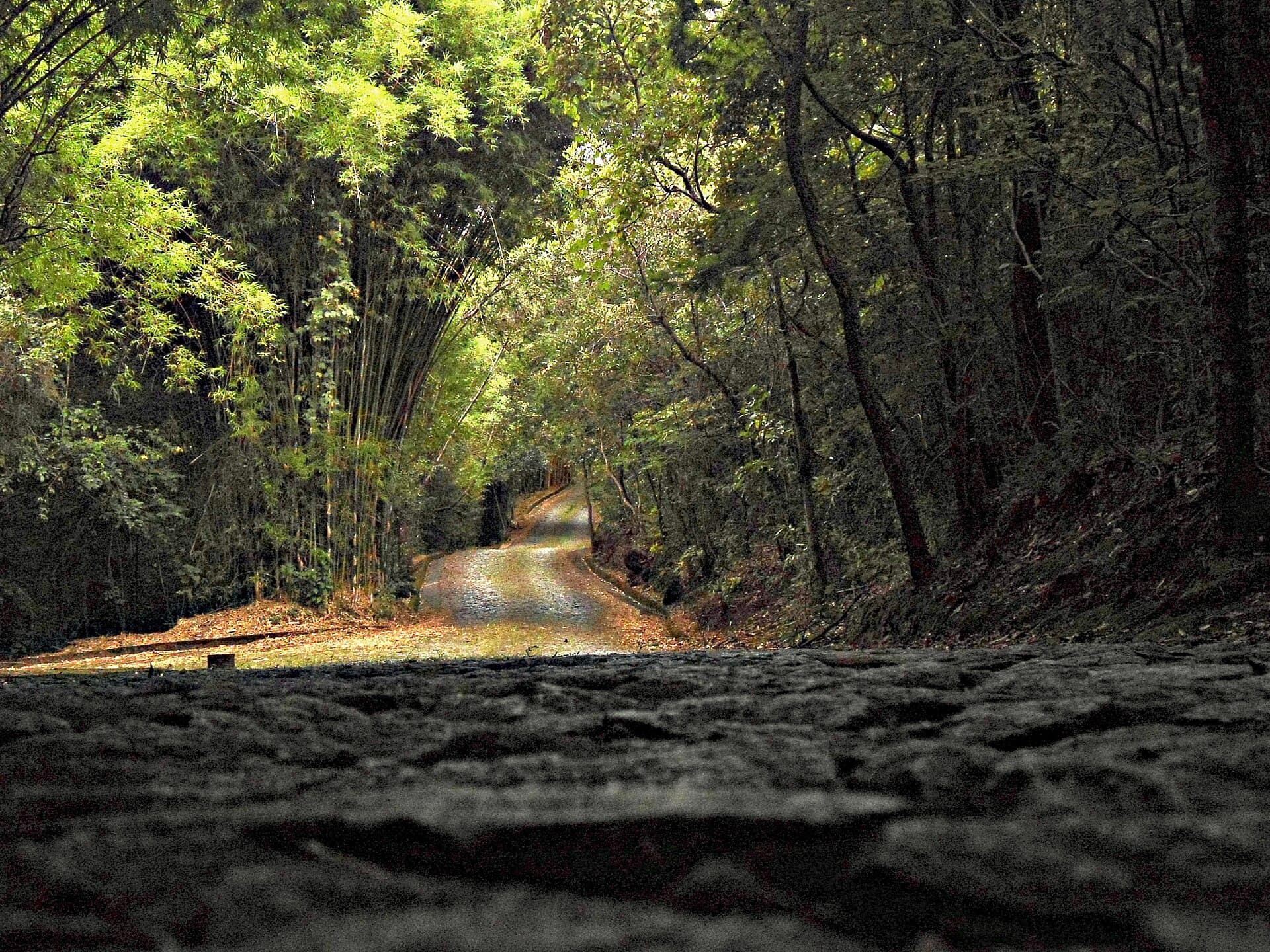 Mangabeiras Park, Belo Horizonte