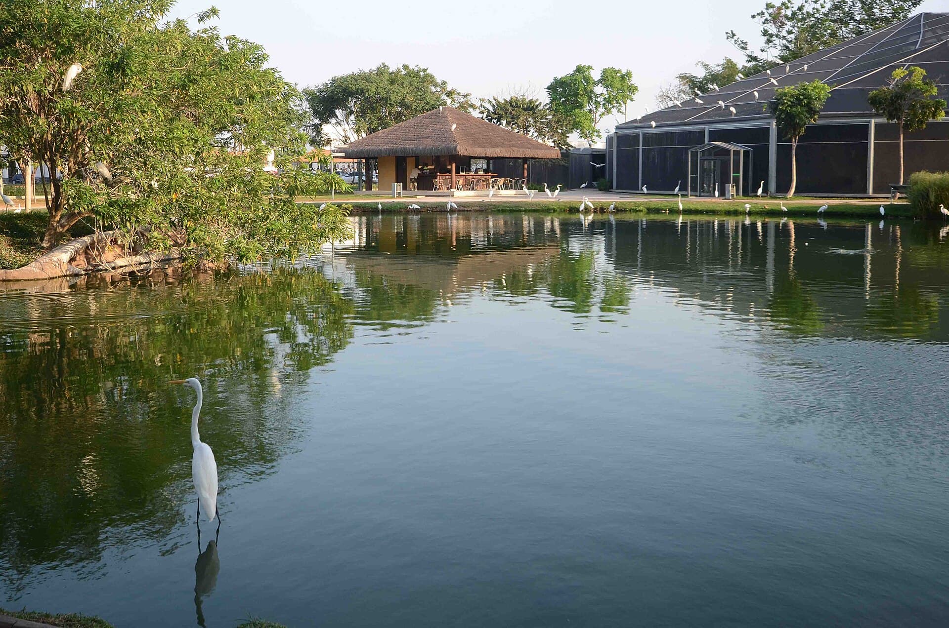 Mangal das Garças, Belém