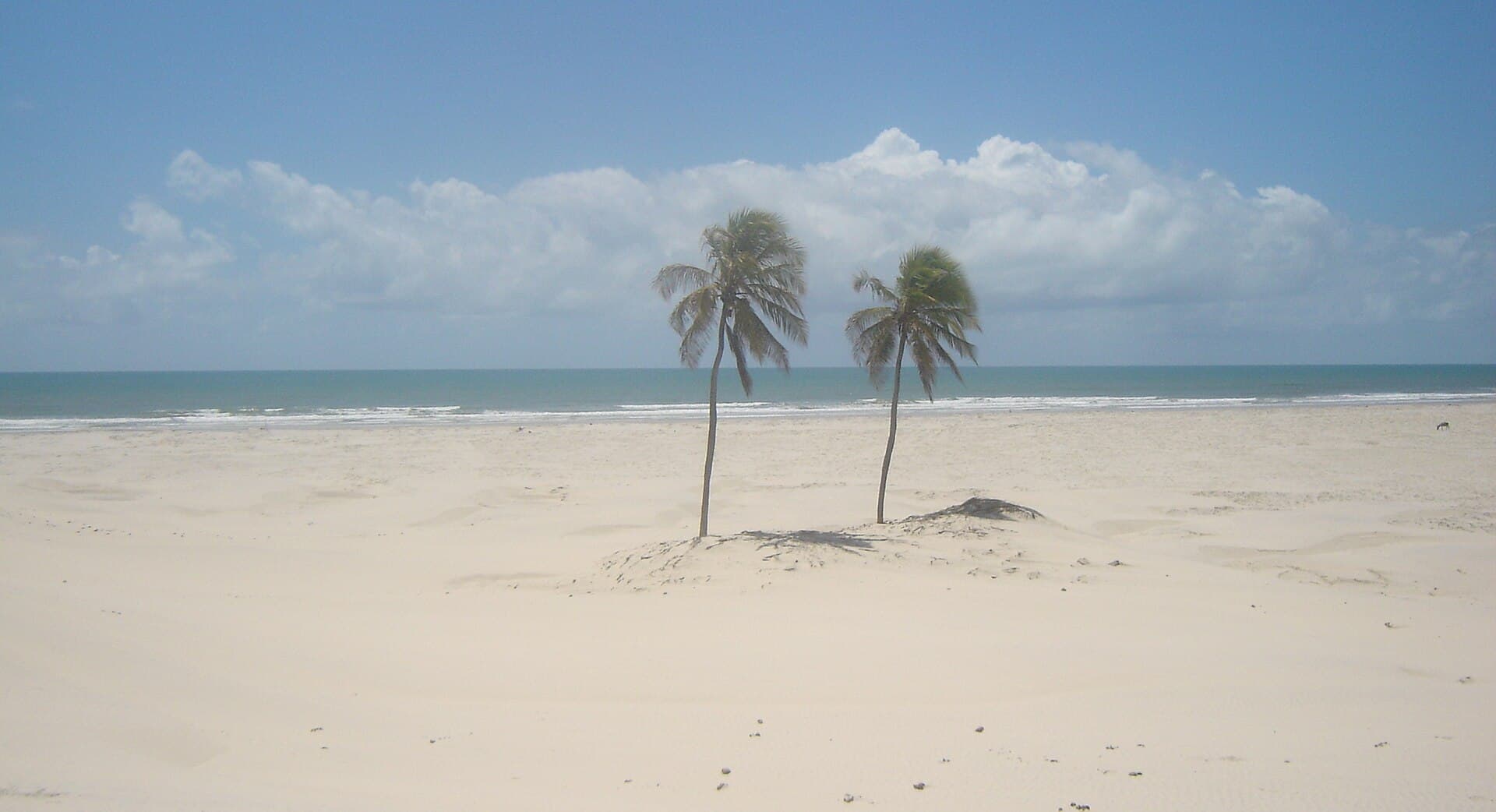 Mangue Seco, Jandaíra
