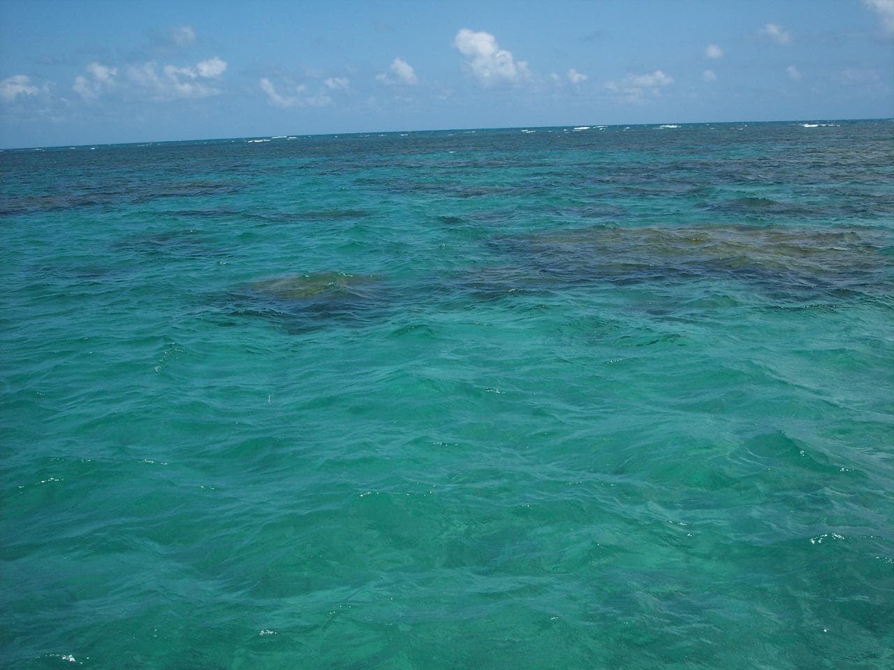 Maracajaú Reefs (Parrachos), Maxaranguape