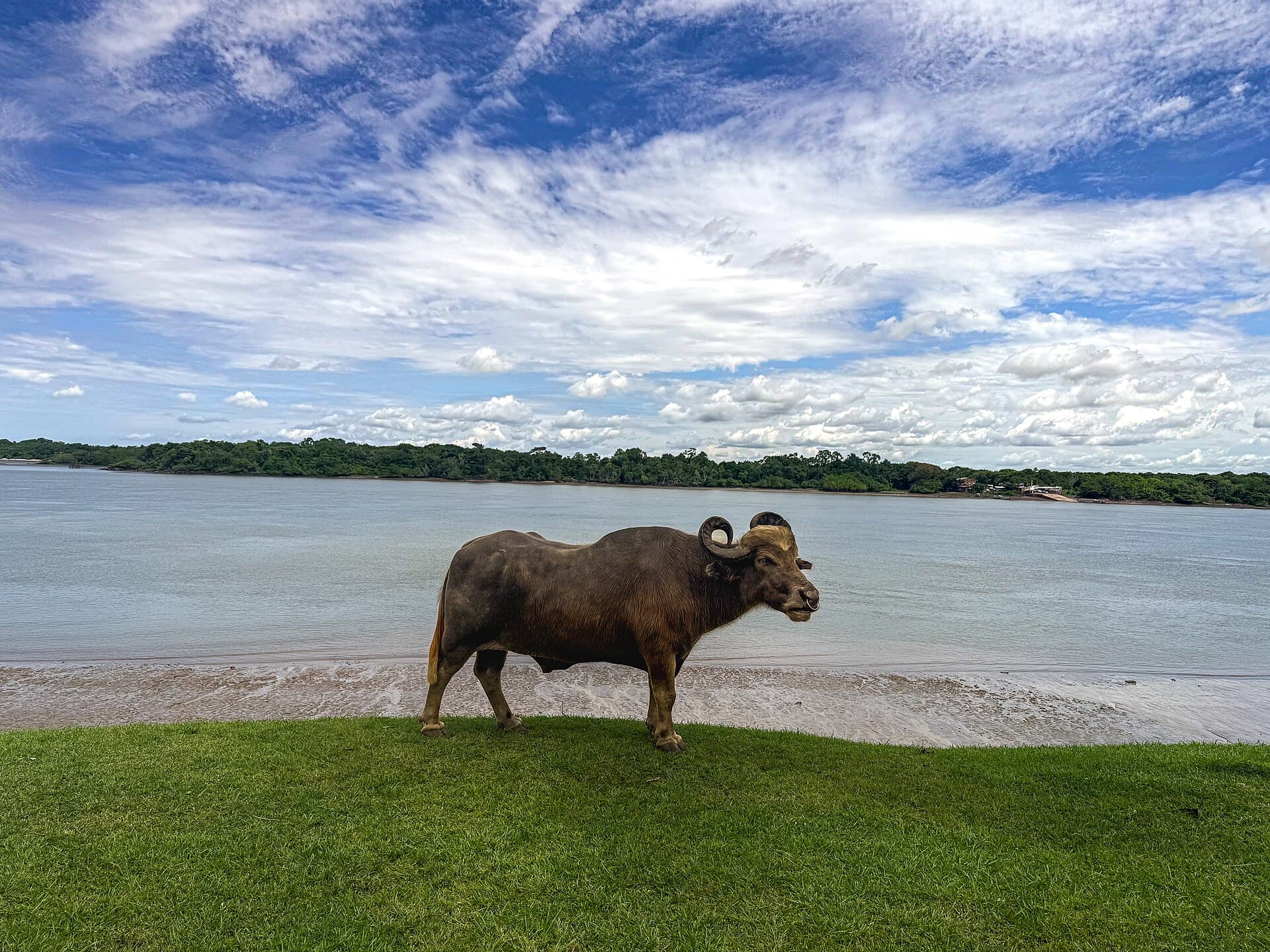 Marajó Island, Soure
