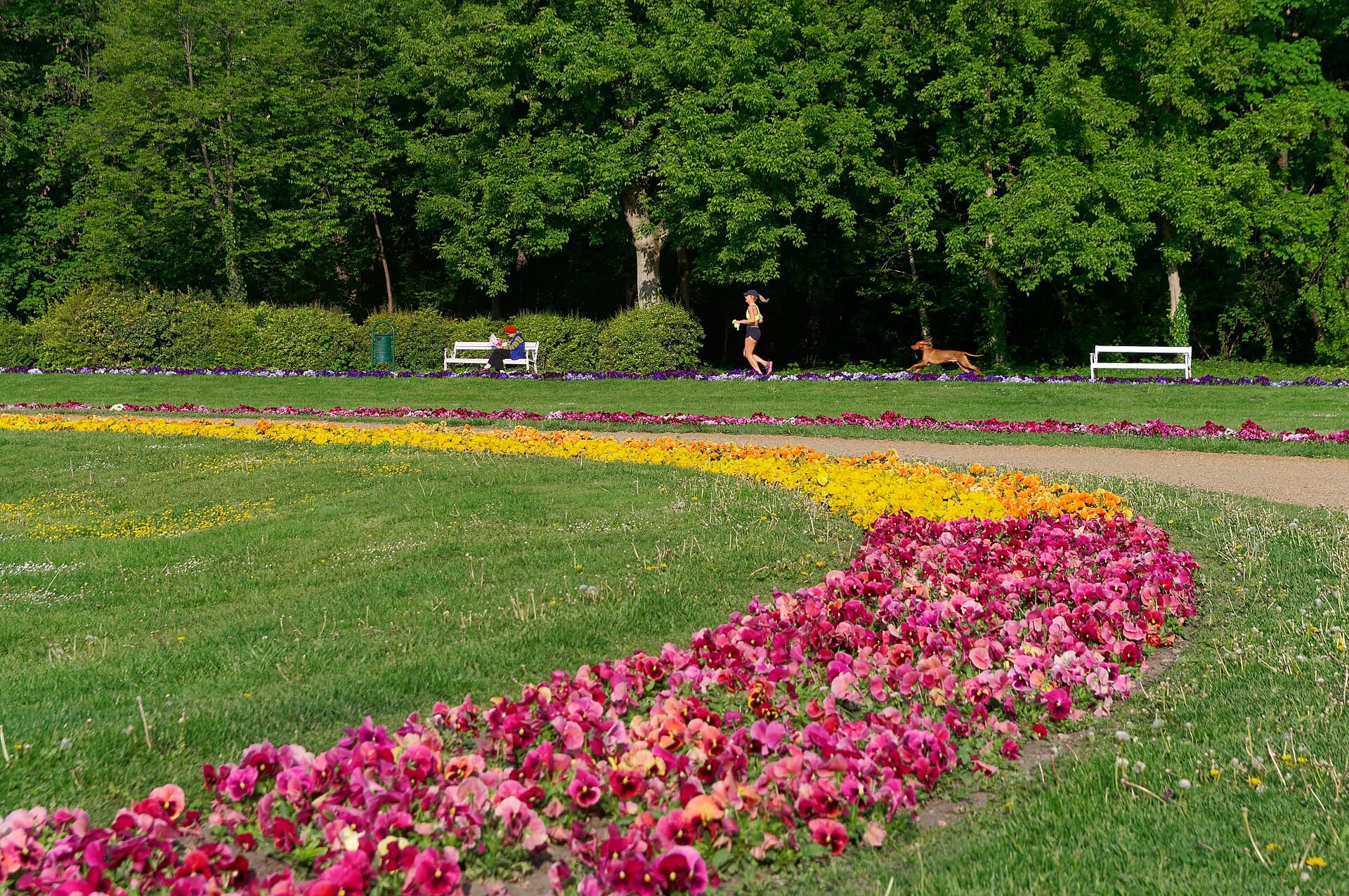 Margaret Island, Budapest