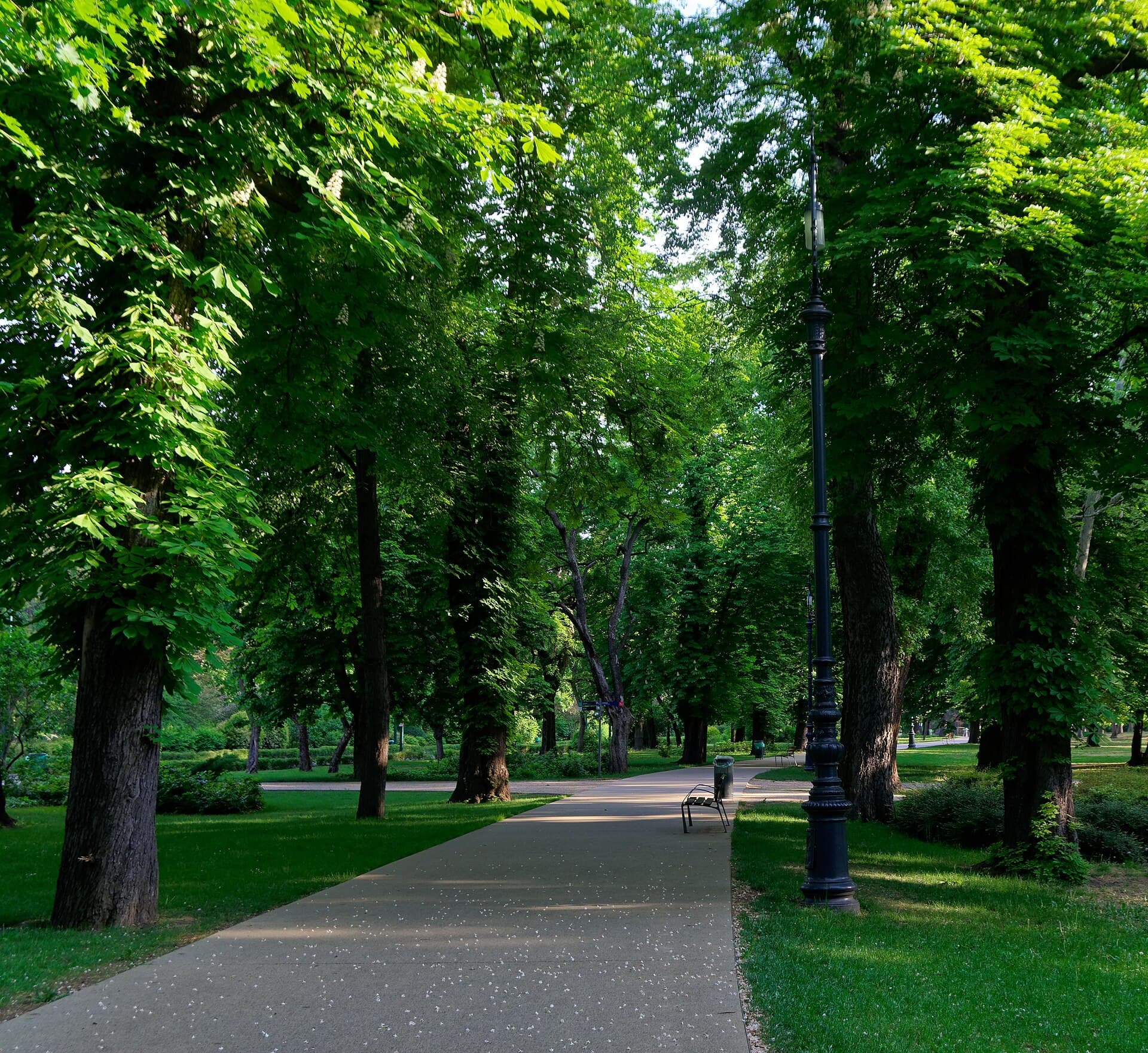 Margaret Island, Budapest