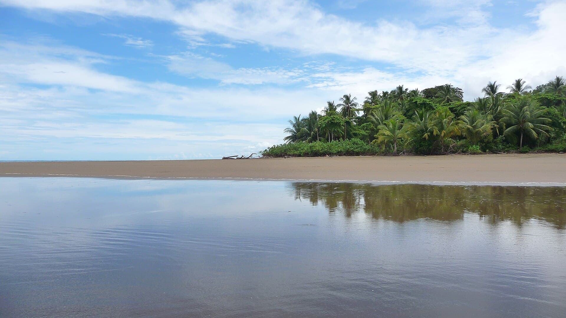 Whale-tail sandbar, Marino Ballena
