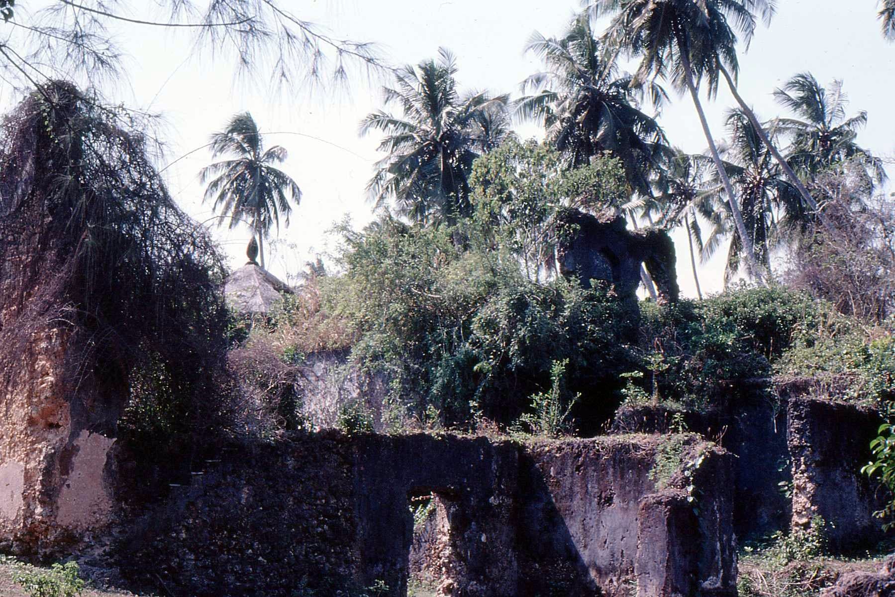 Maruhubi Palace Ruins, Zanzibar