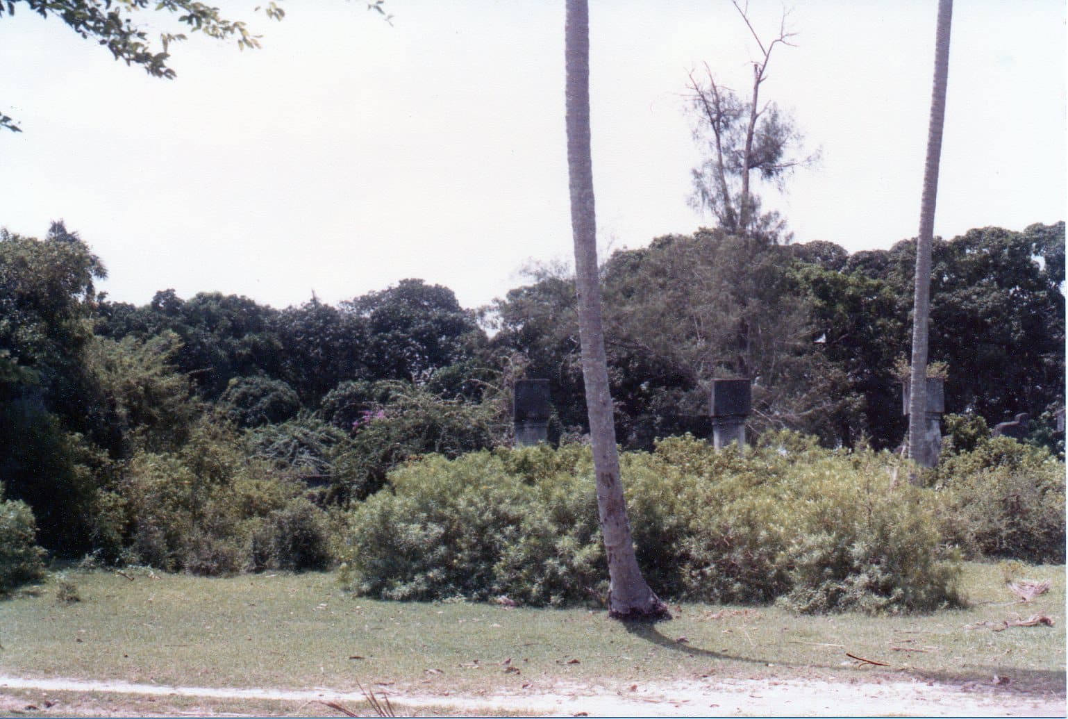 Maruhubi Palace Ruins, Zanzibar