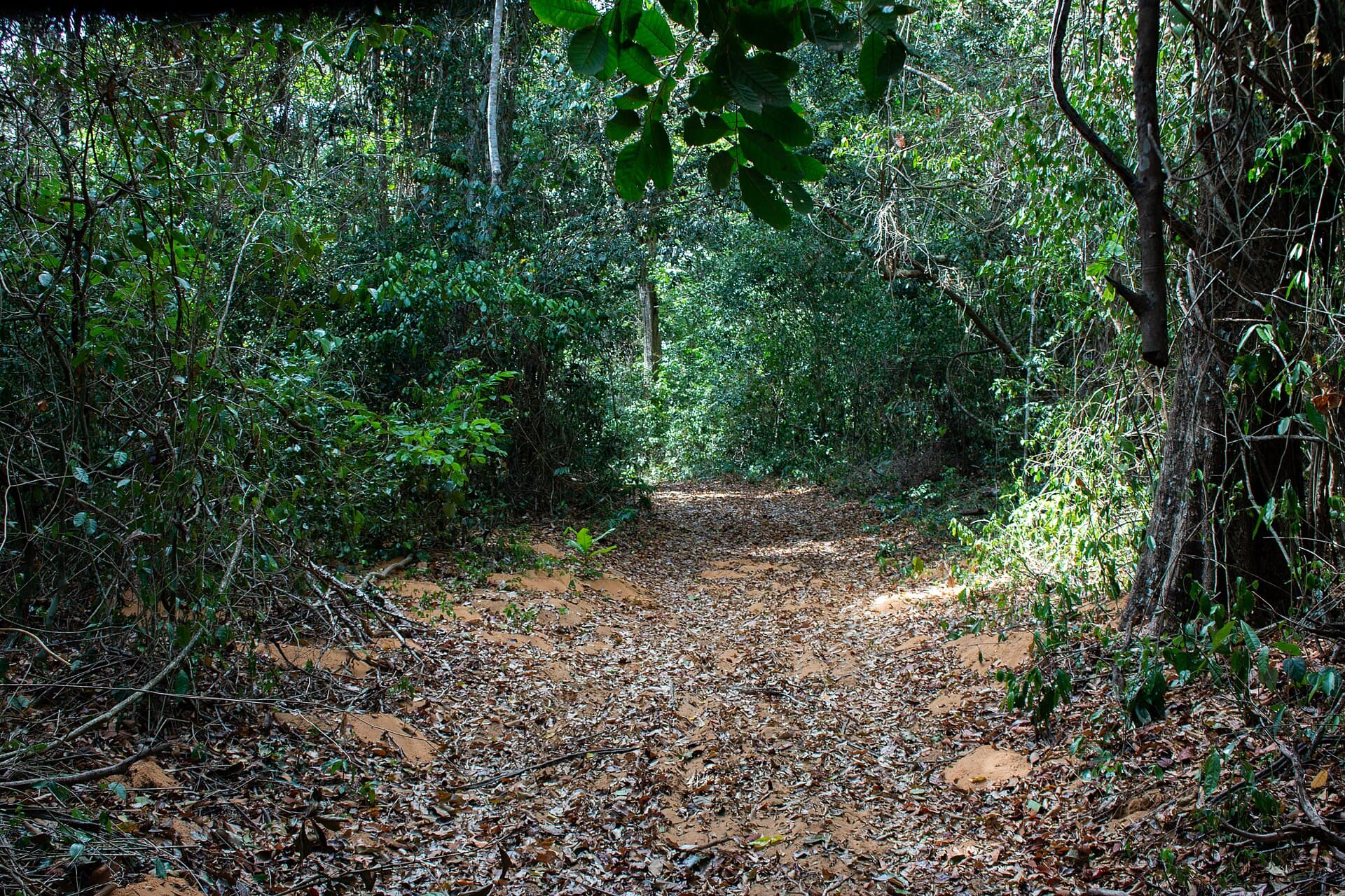 Mata Estrela Reserve, Baía Formosa, Baía Formosa