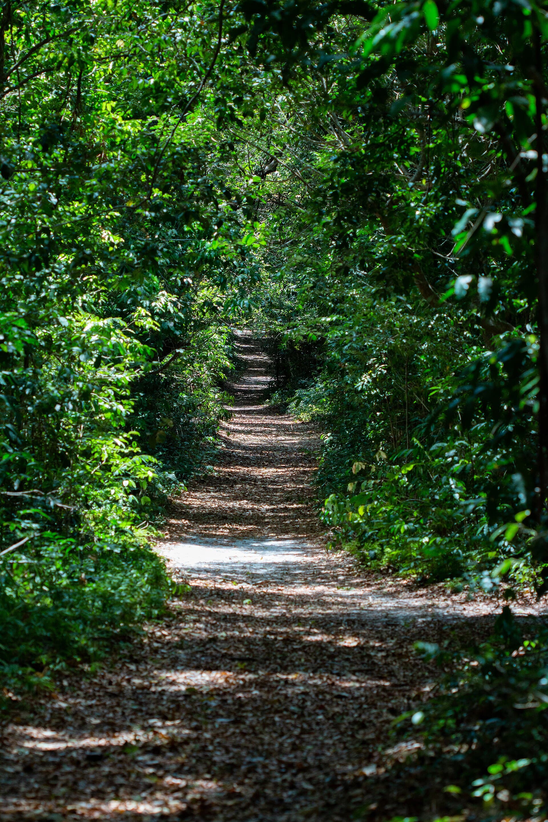 Mata Estrela Reserve, Baía Formosa, Baía Formosa