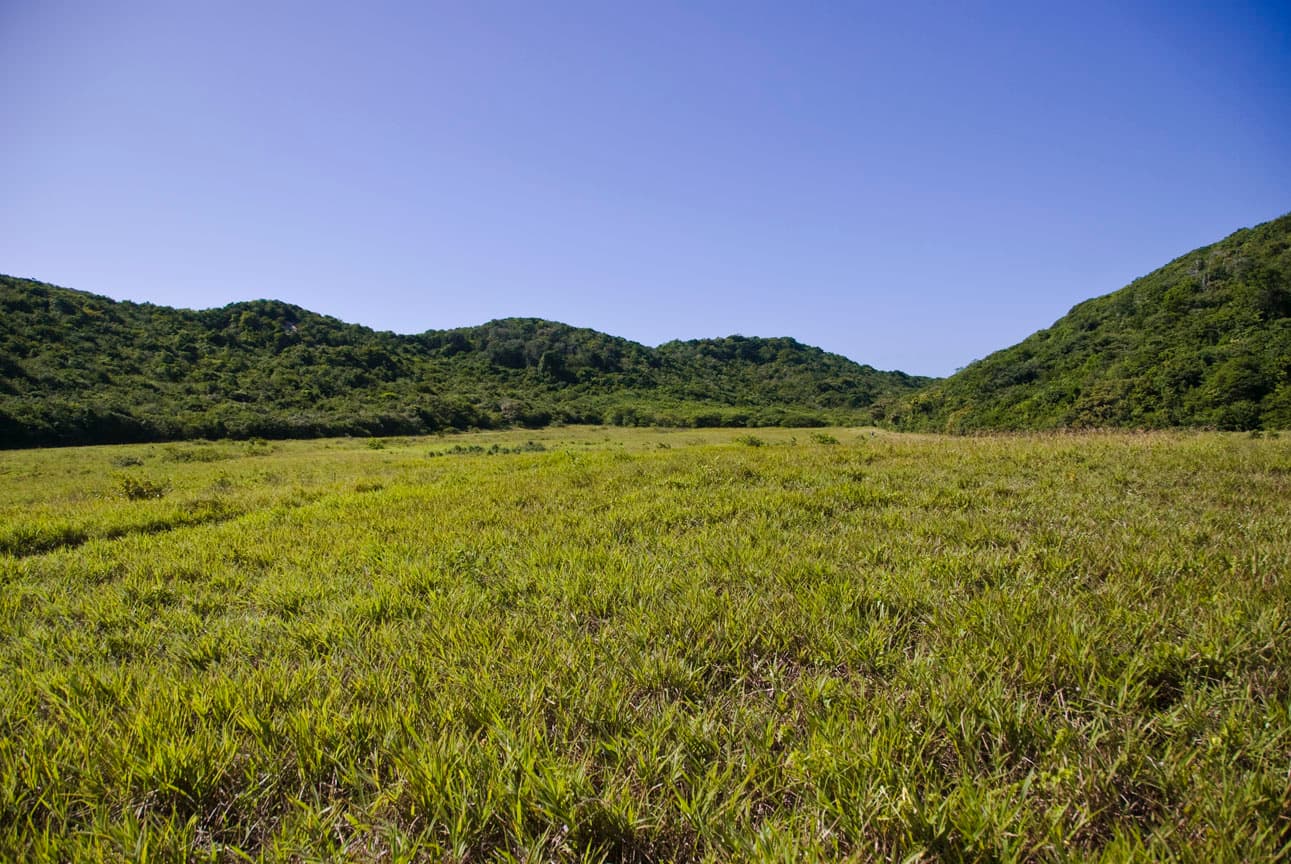 Mata Estrela Reserve, Baía Formosa, Baía Formosa