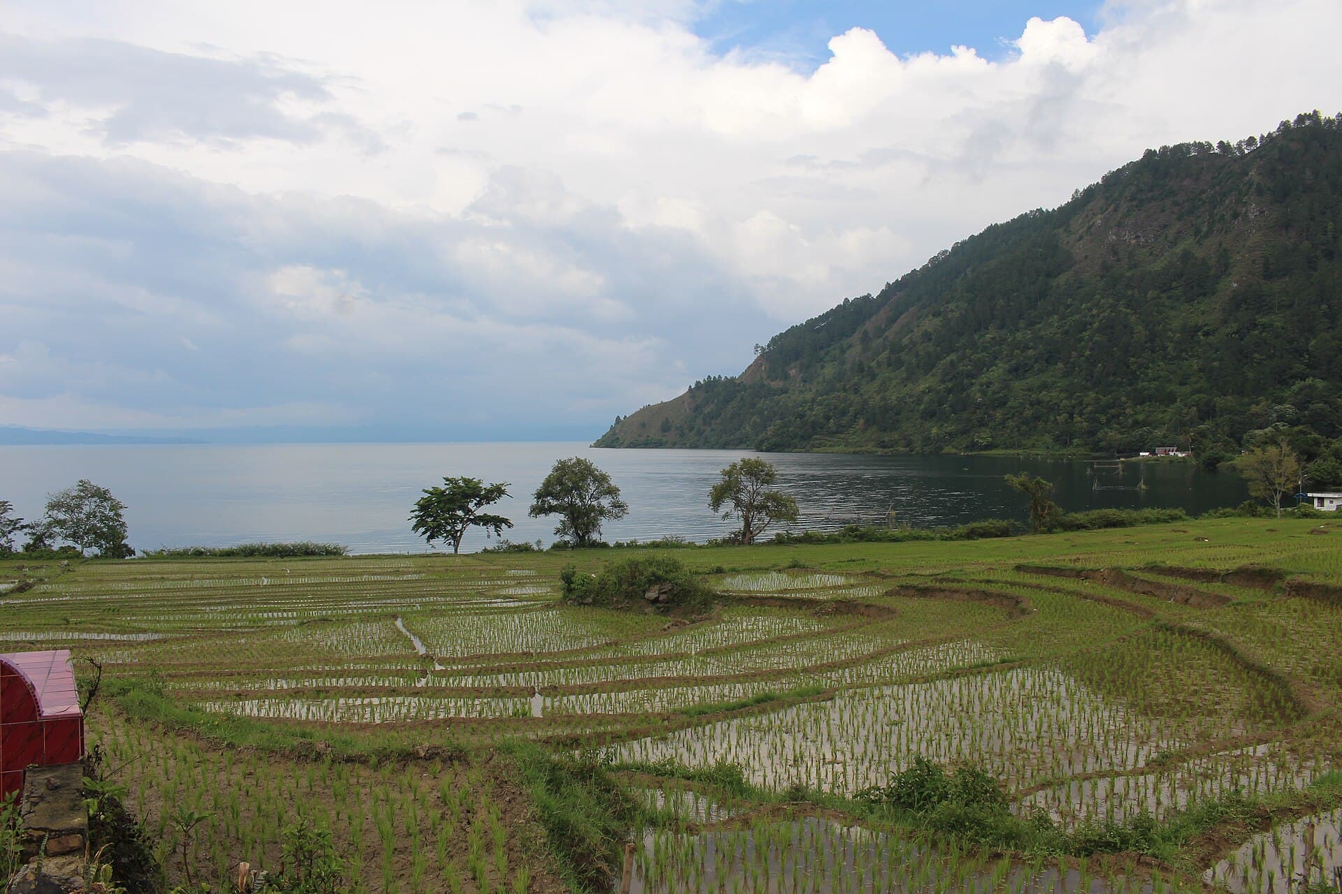 Meat Village, Lake Toba, Lake Toba