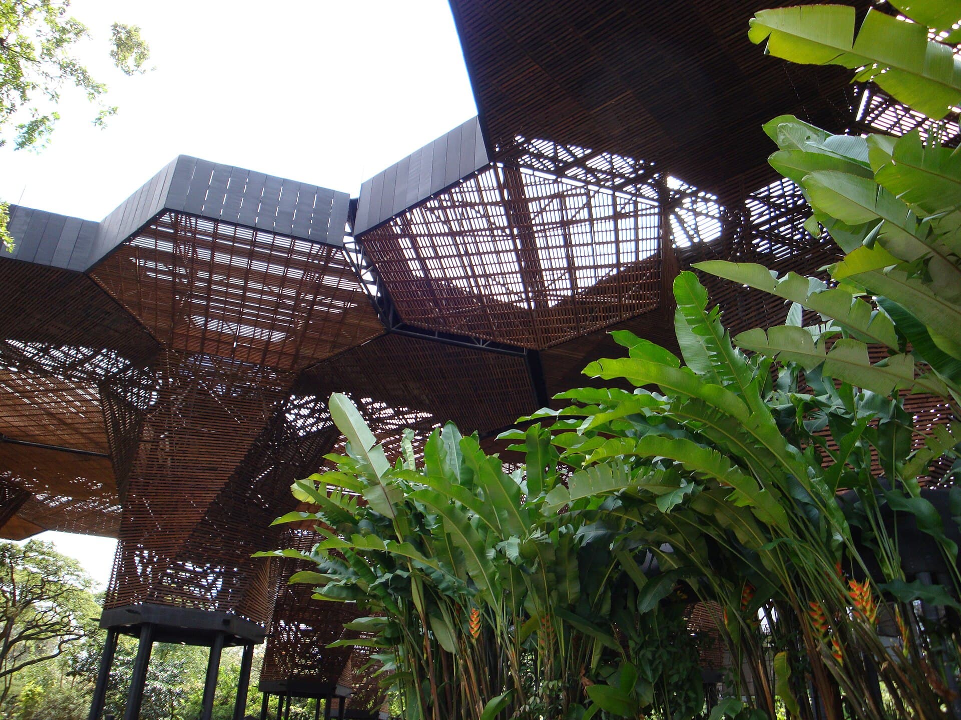 Medellín Botanical Garden