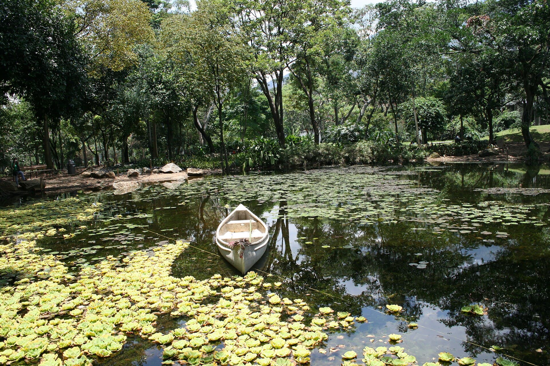 Medellín Botanical Garden