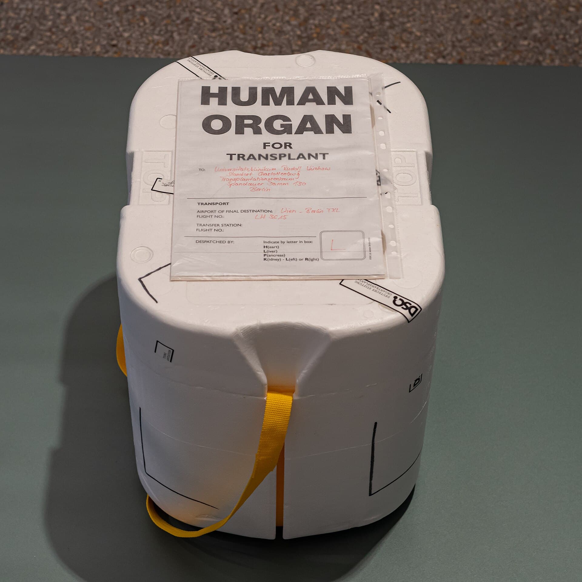 Berlin Museum of Medical History, Berlin