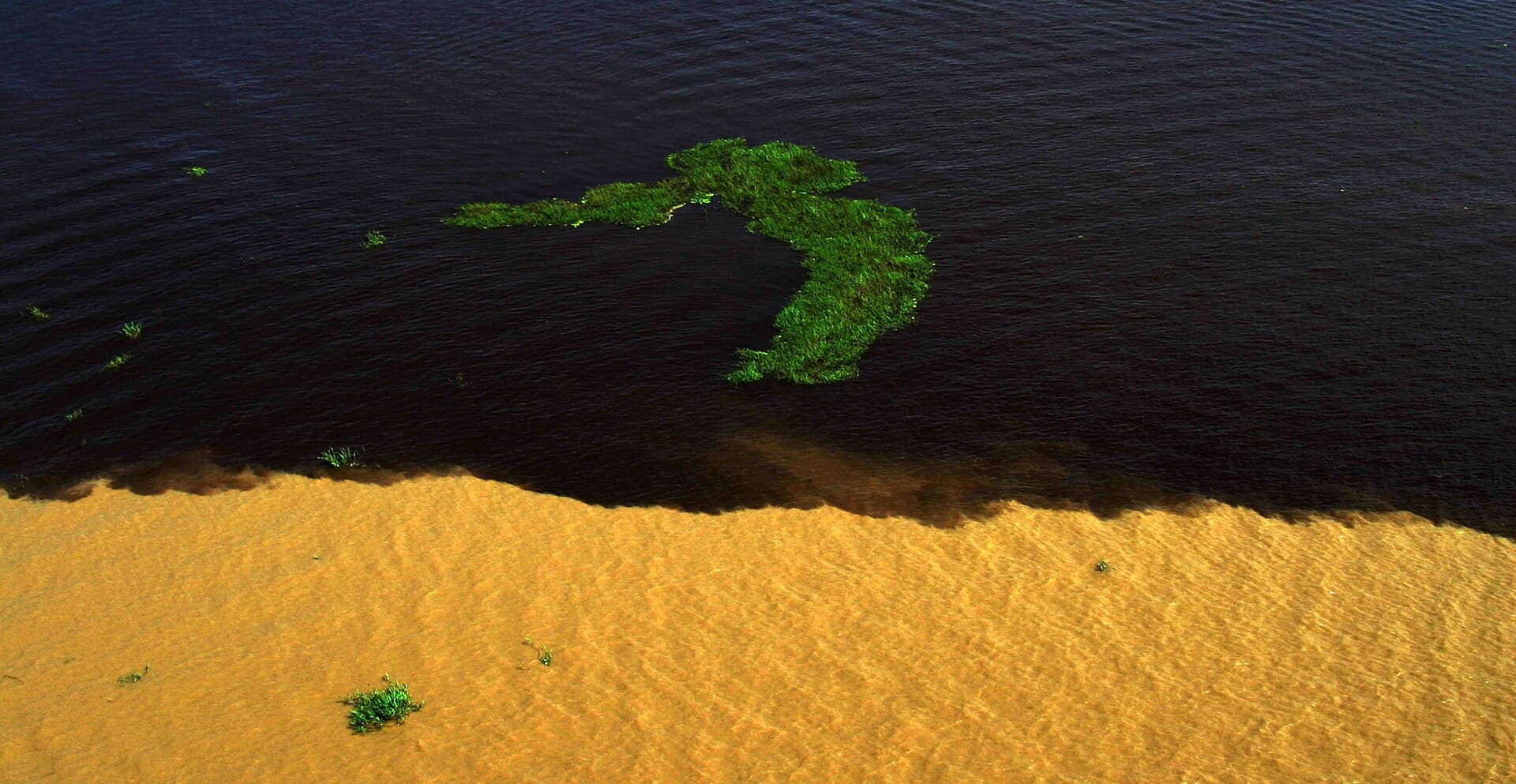 Meeting of the Waters (Encontro das Águas), Manaus