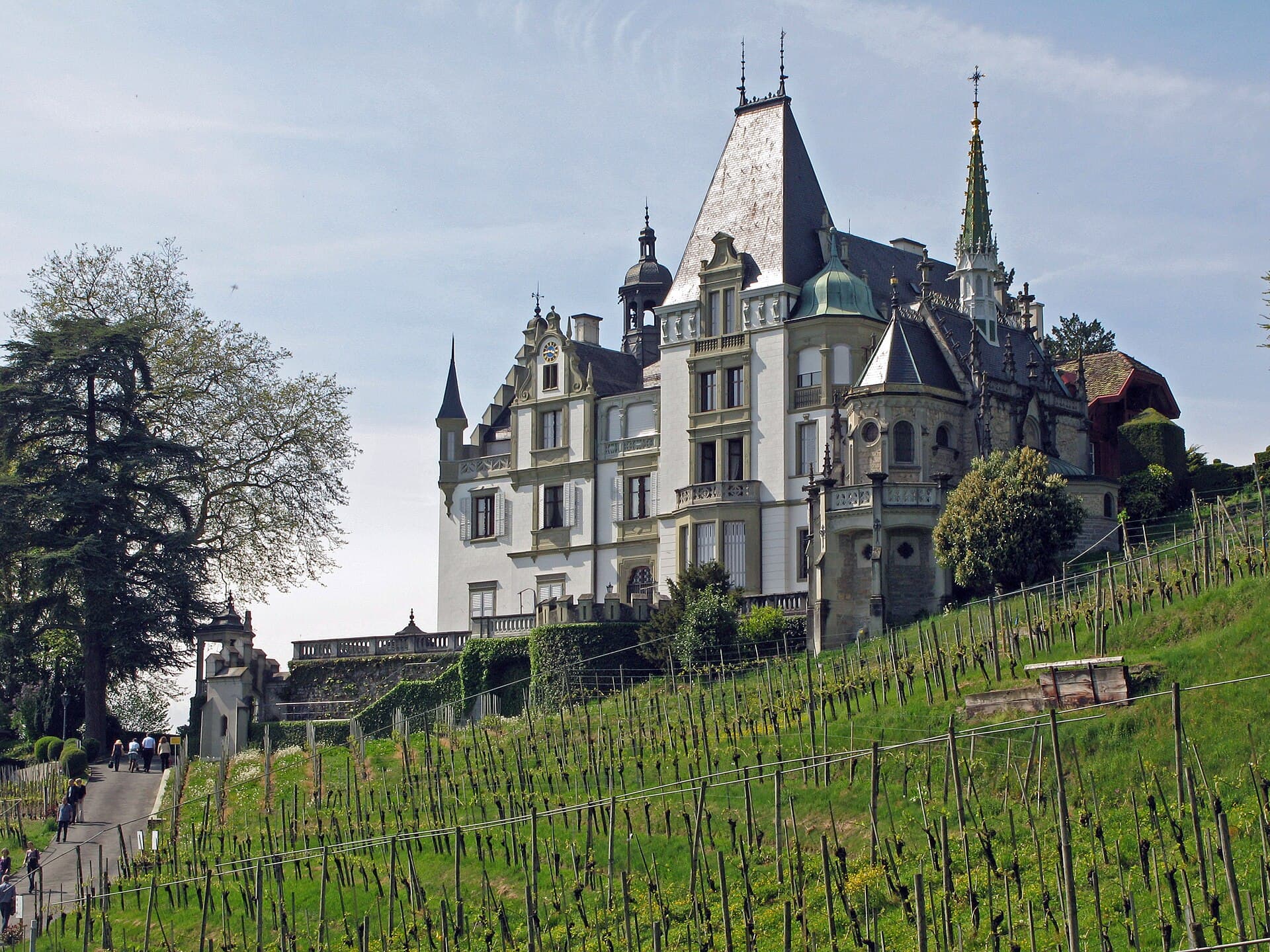 Meggenhorn Castle, Meggen