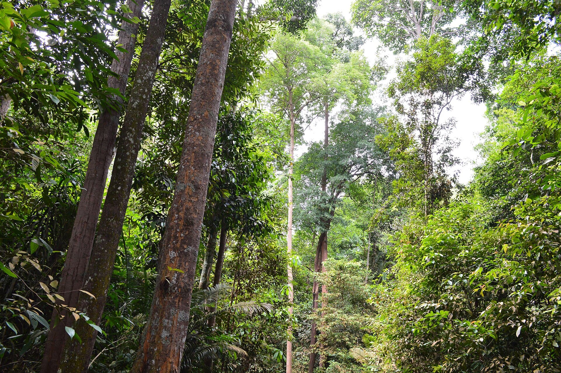 Melaka Botanical Garden