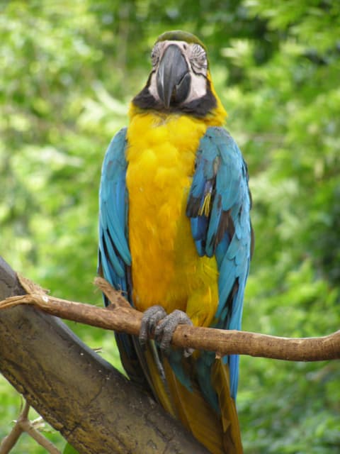 Zoo Melaka