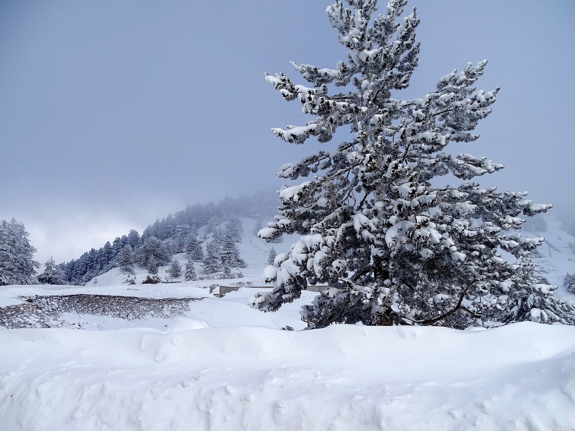 Metsovo, Ioannina