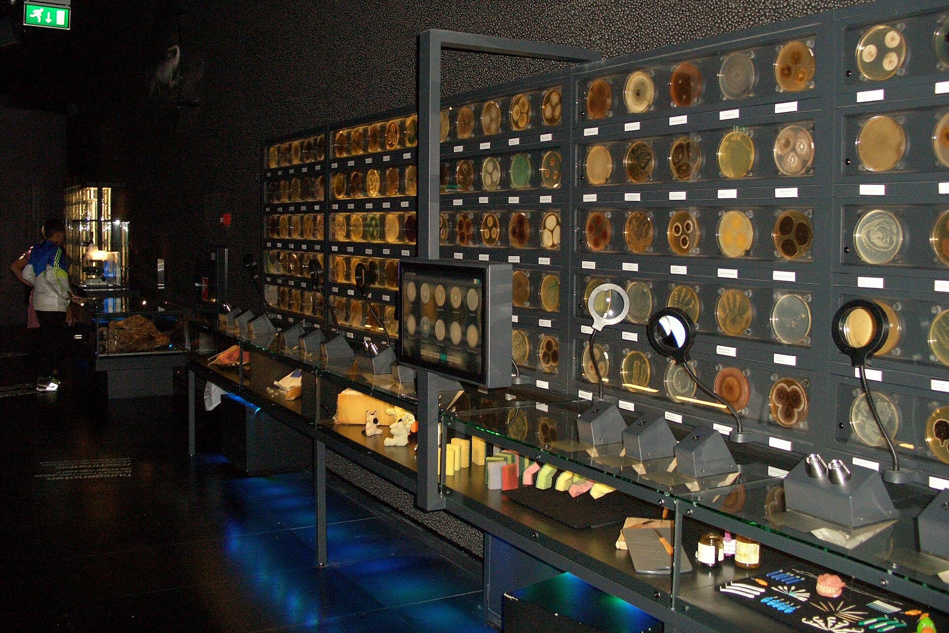 Micropia, Amsterdam