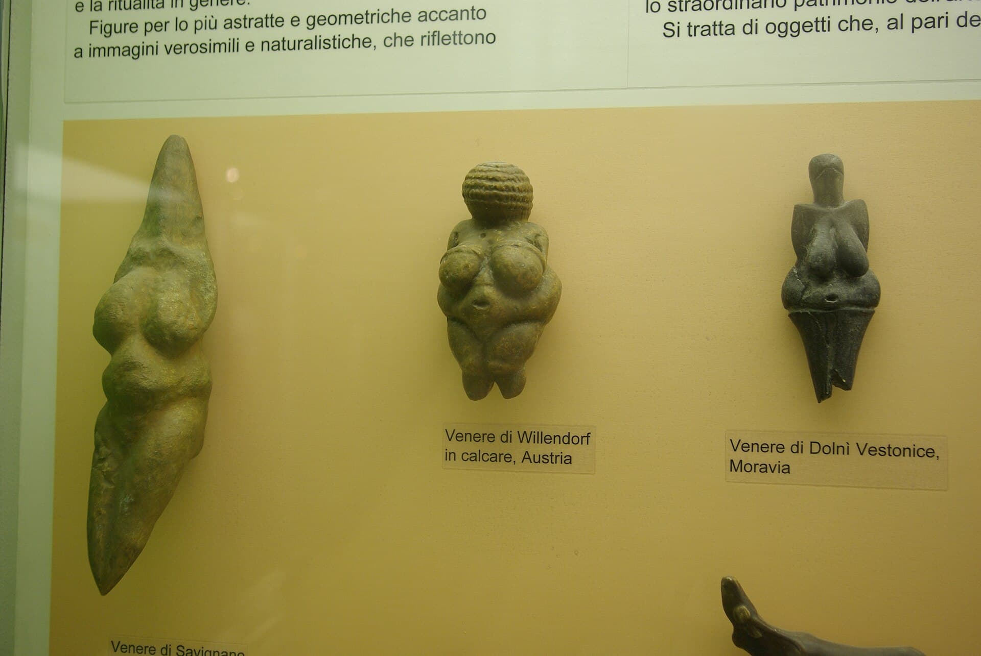 Milan Natural History Museum, Milan, Italy