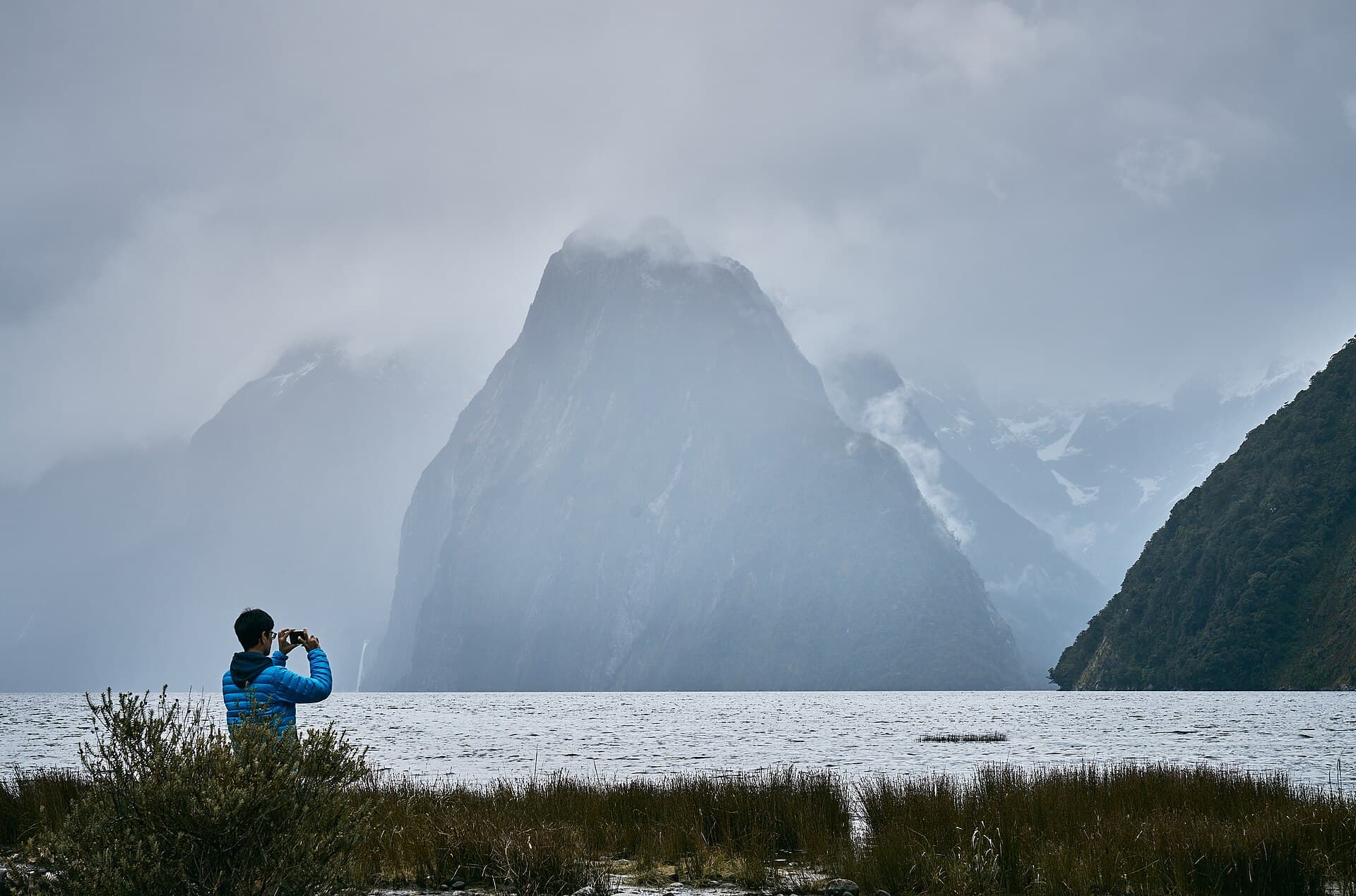 Milford Sound, Fiordland