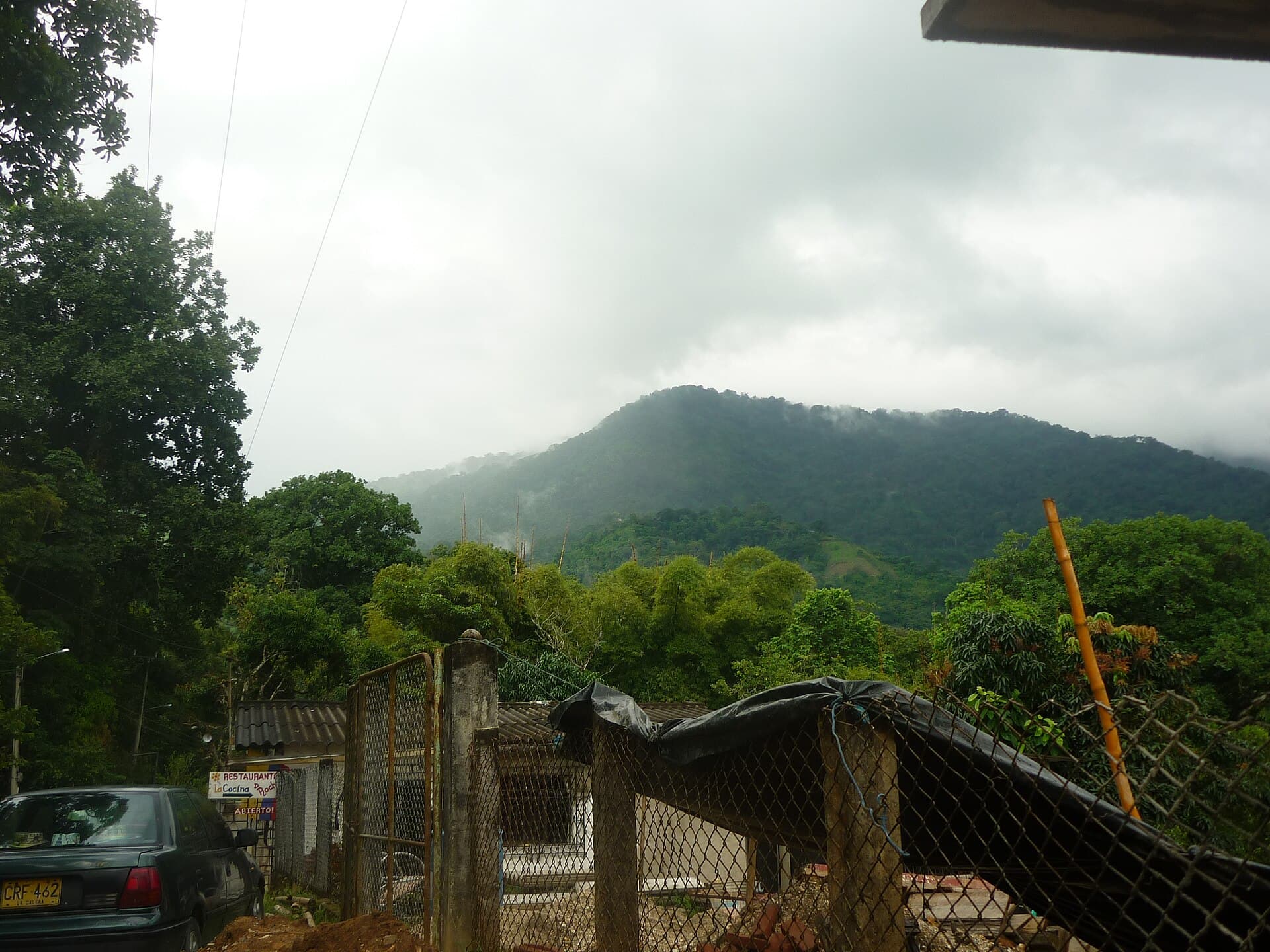 Minca
