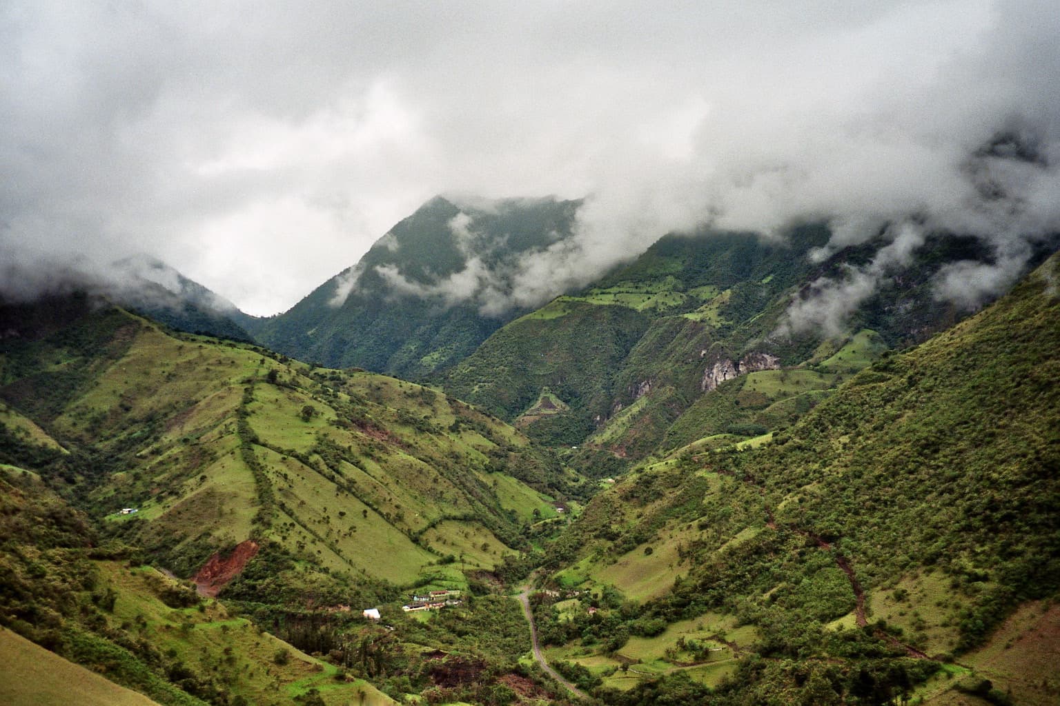 Mindo cloud forest