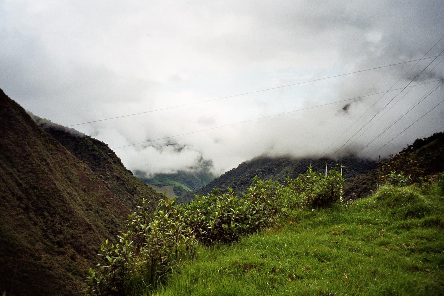 Mindo cloud forest