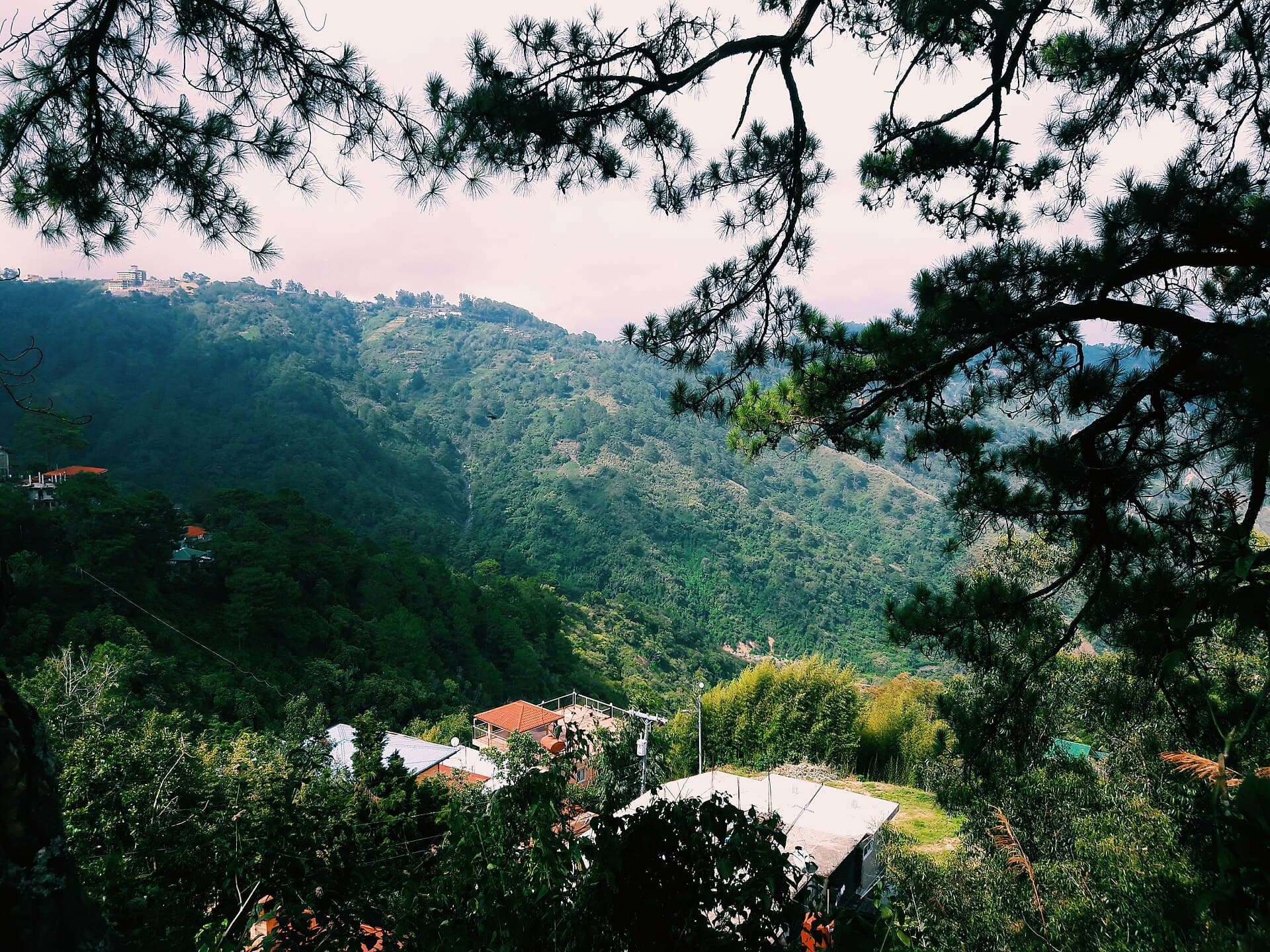 Mines View Park