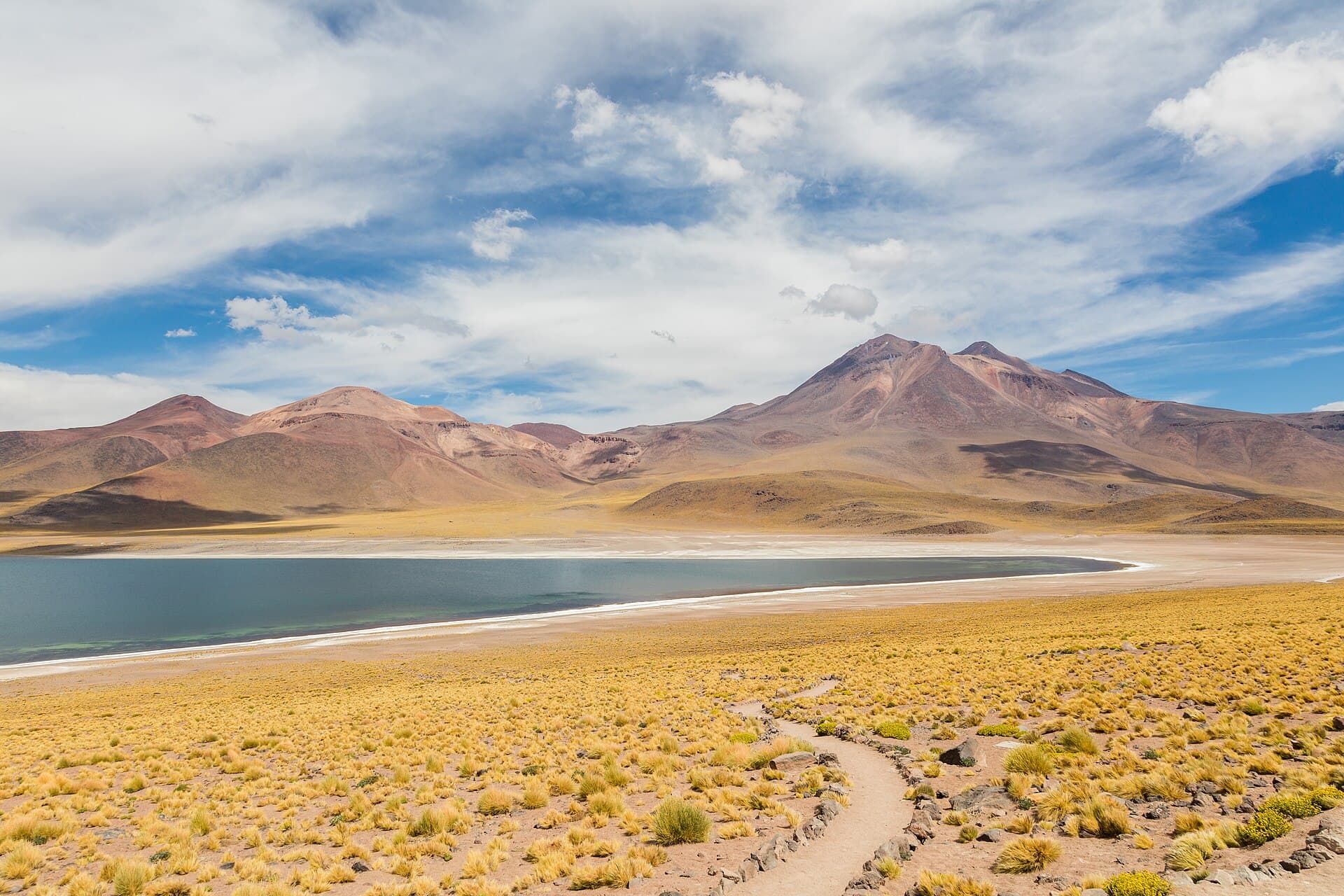 Miscanti lagoon on the altiplano