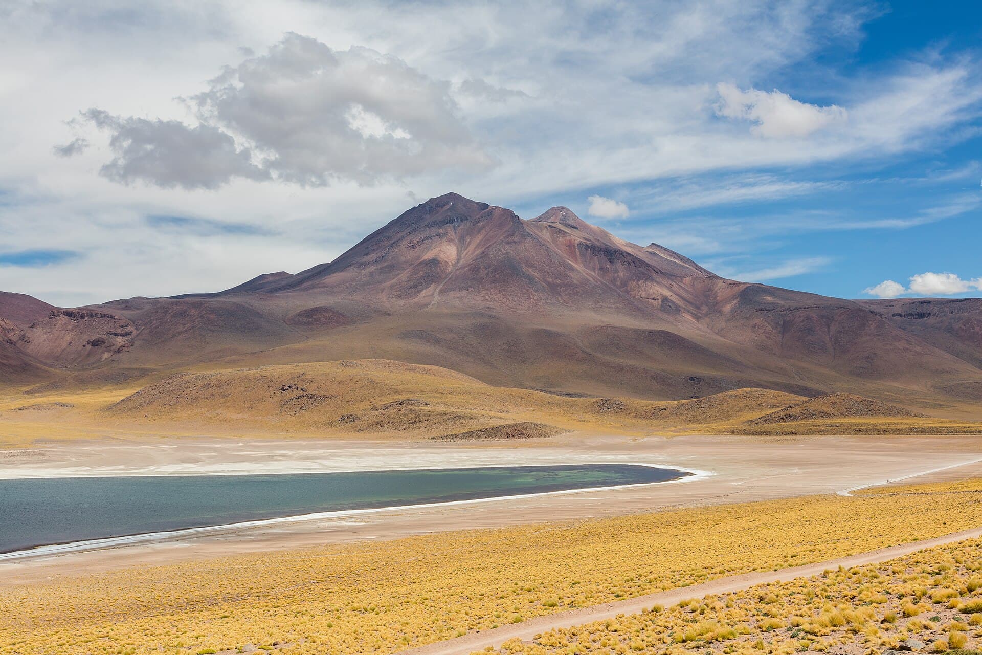 Miscanti lagoon on the altiplano