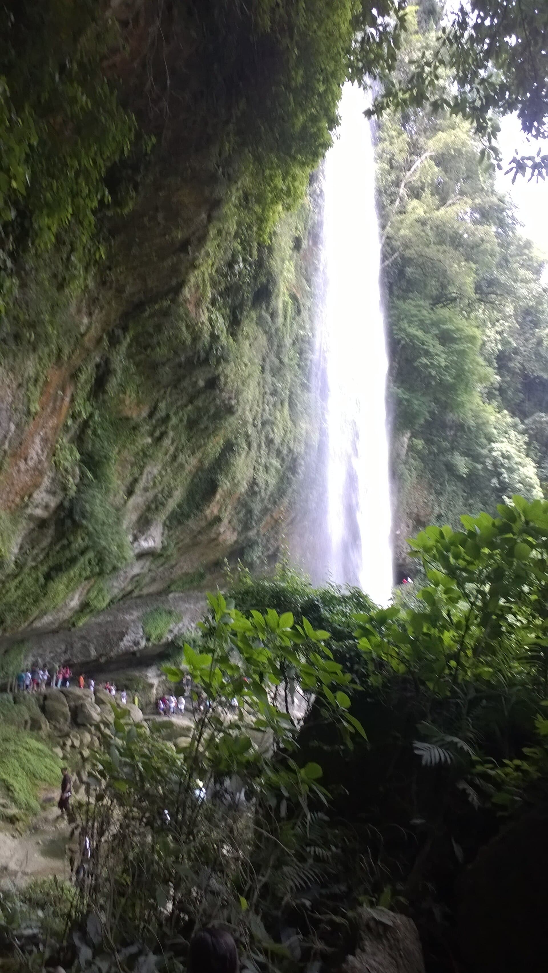 Misol-Ha waterfall