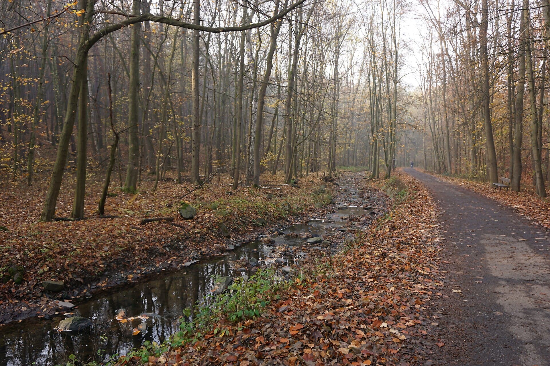 The Modřany Gorge, Prague