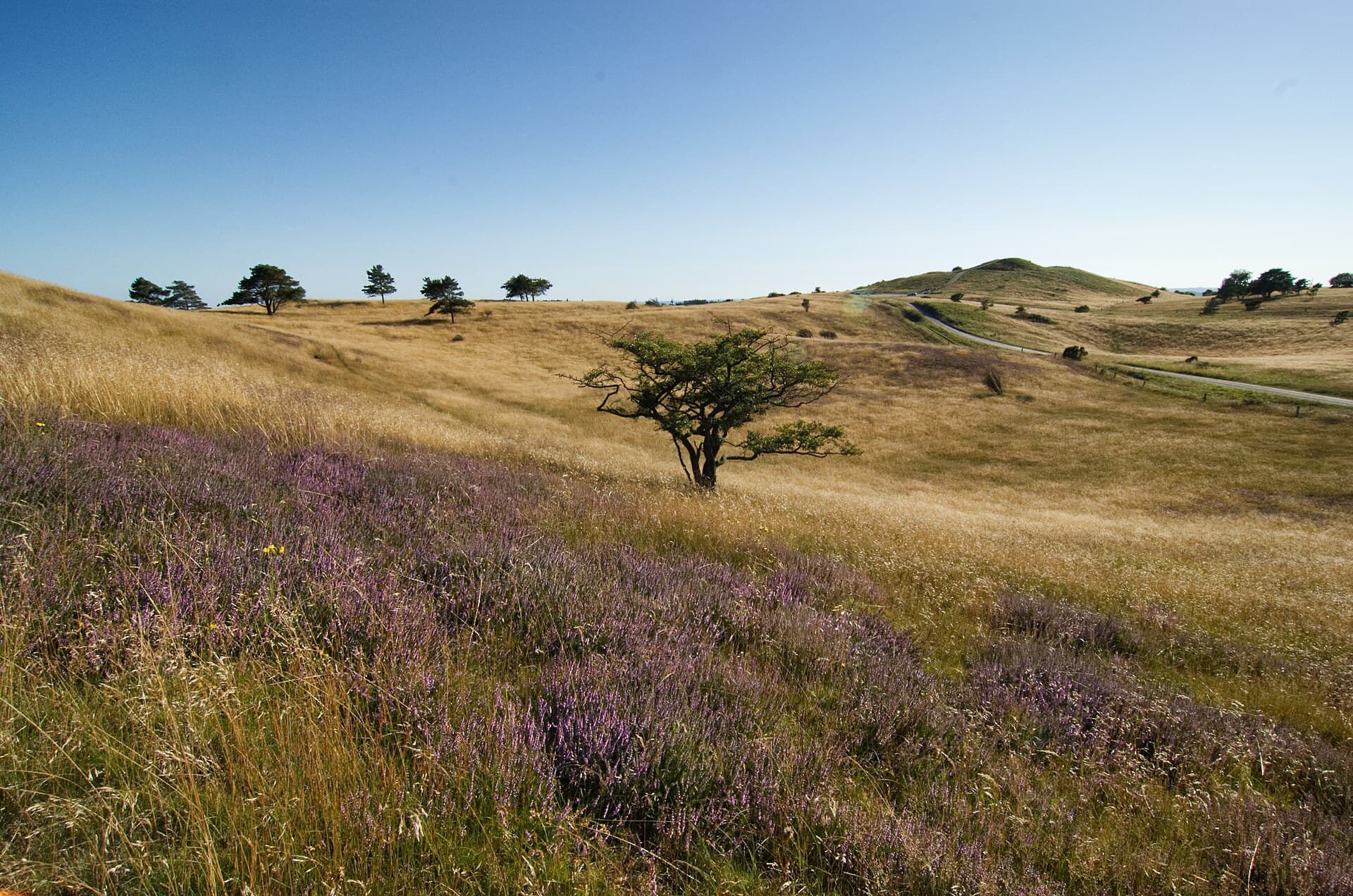 Mols Bjerge National Park, Aarhus