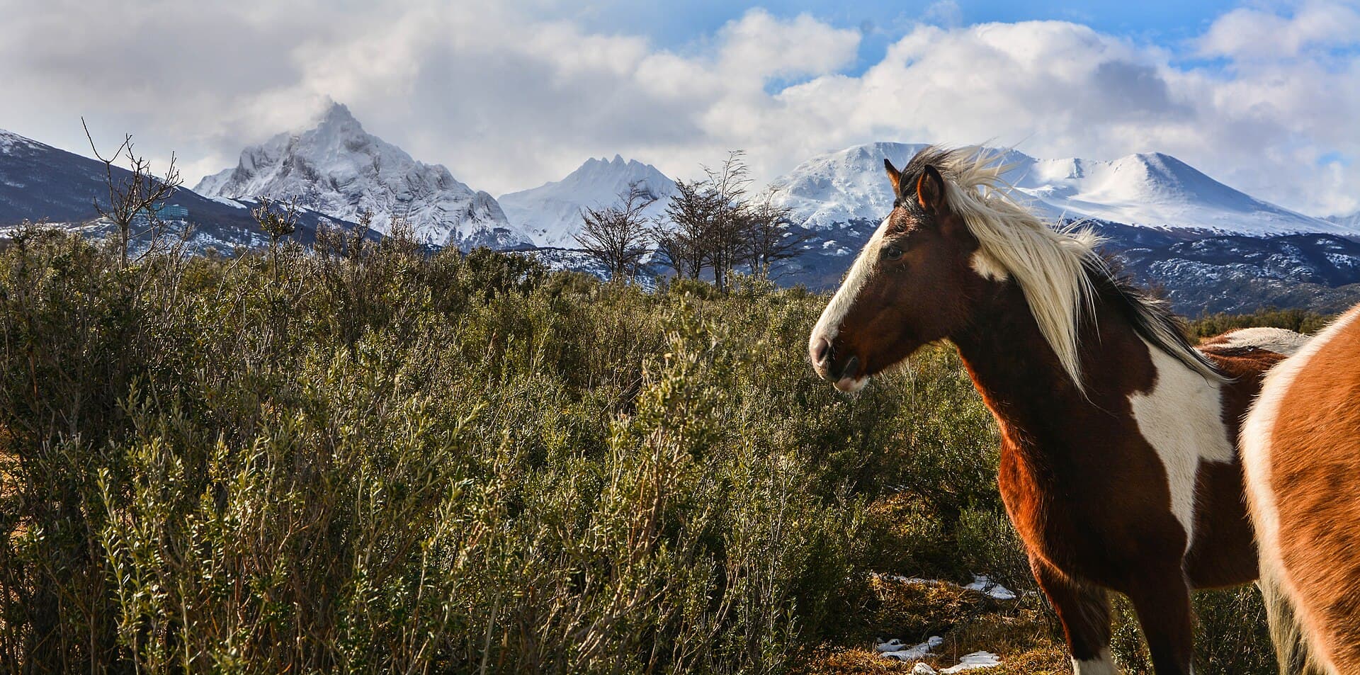 Monte Olivia, Ushuaia