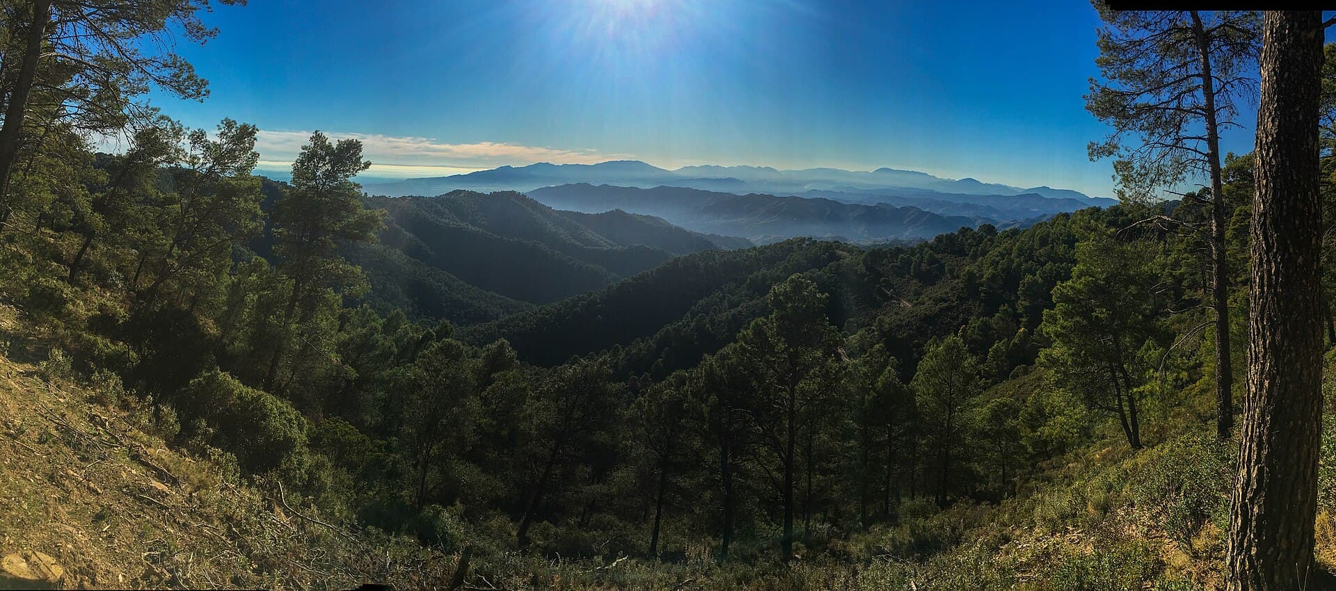 Montes de Málaga Natural Park, Málaga