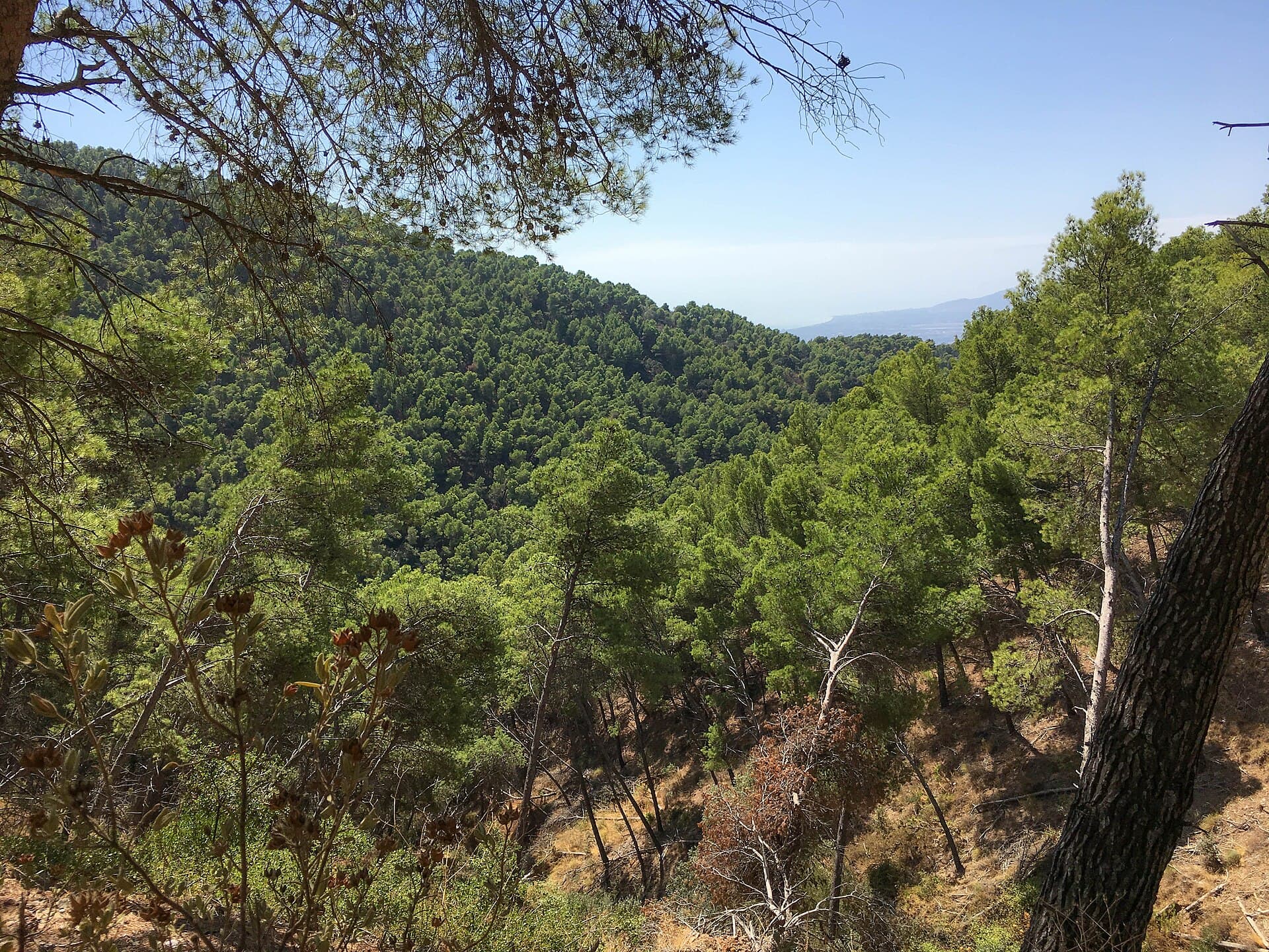 Montes de Málaga Natural Park, Málaga